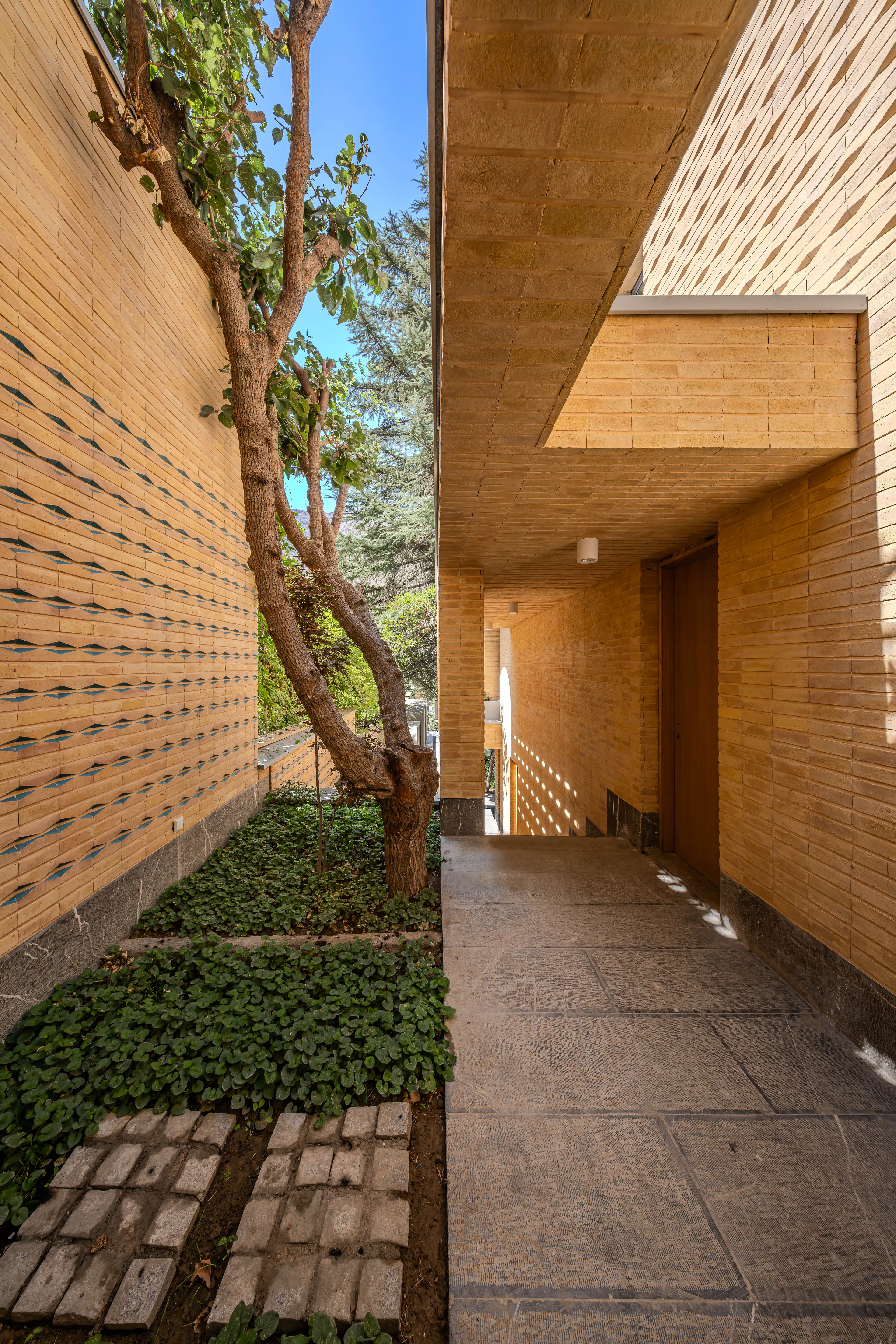 A House Looking to a Cedrus Tree — 6