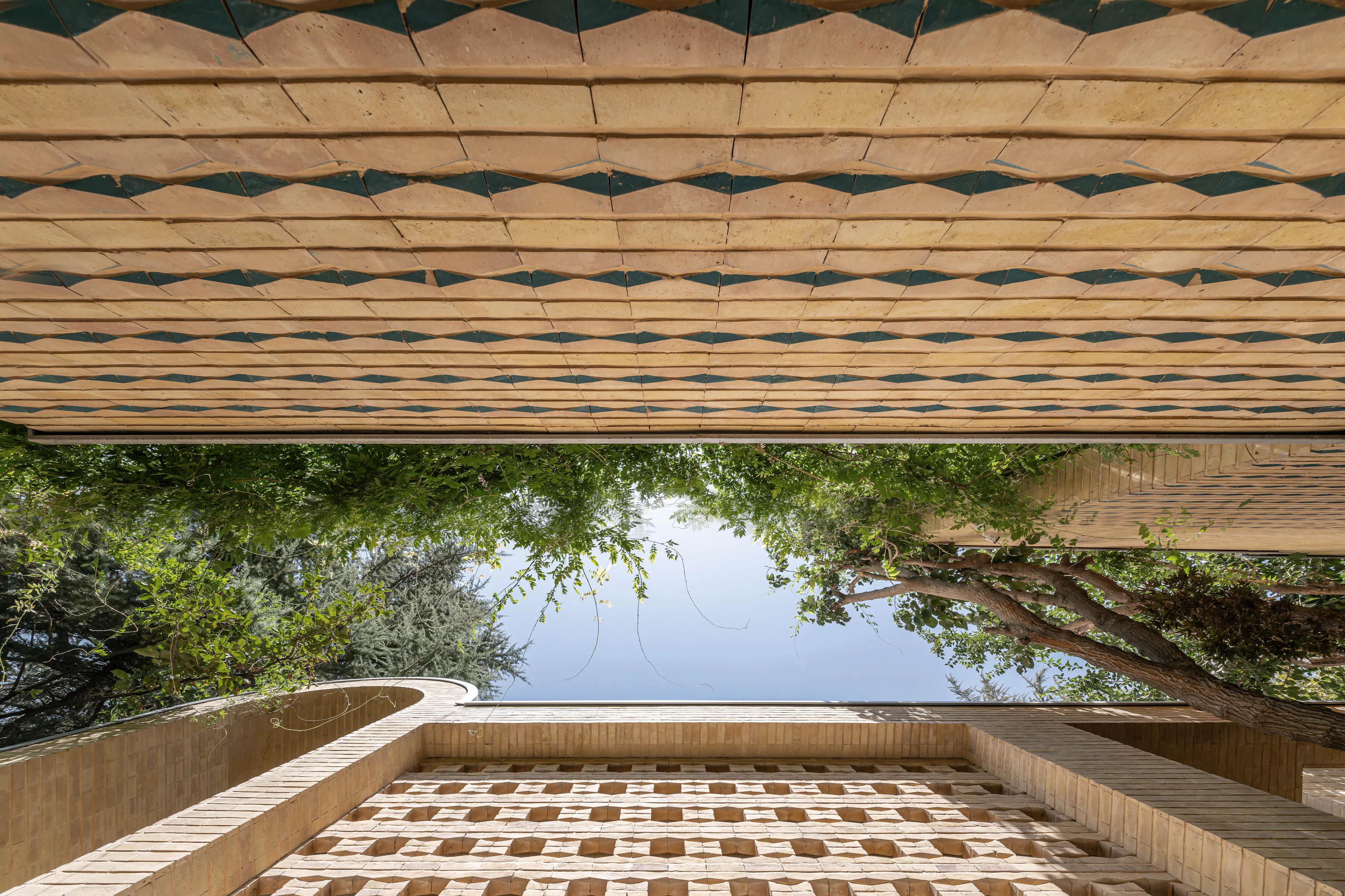 A House Looking to a Cedrus Tree — 8