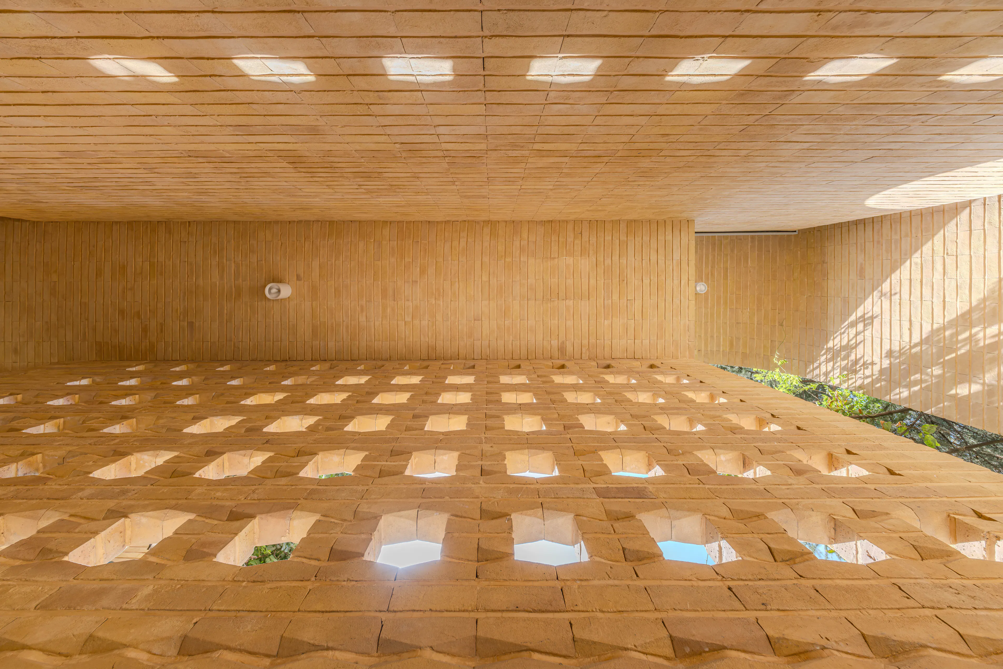 A House Looking to a Cedrus Tree — 9