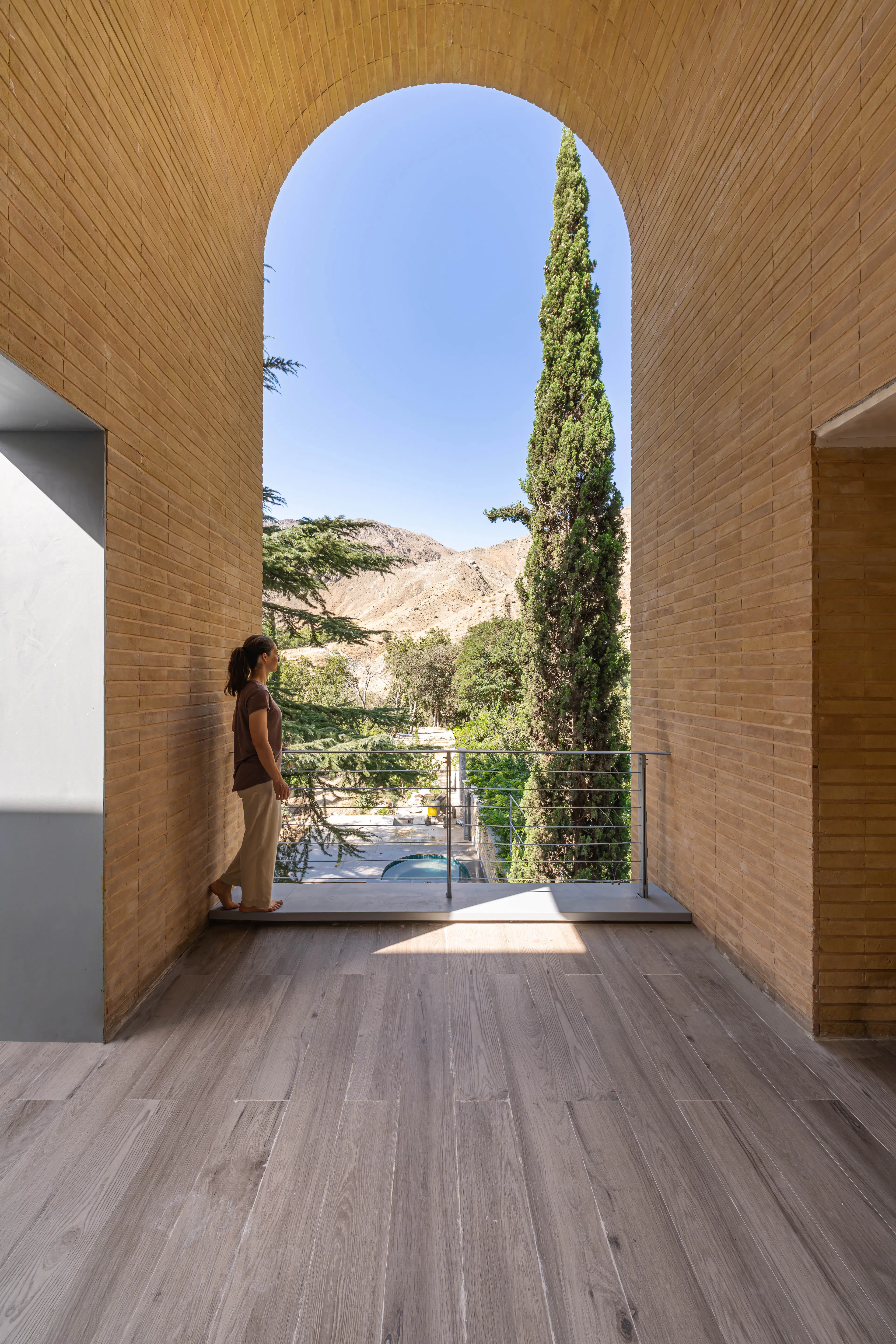 A House Looking to a Cedrus Tree — 3