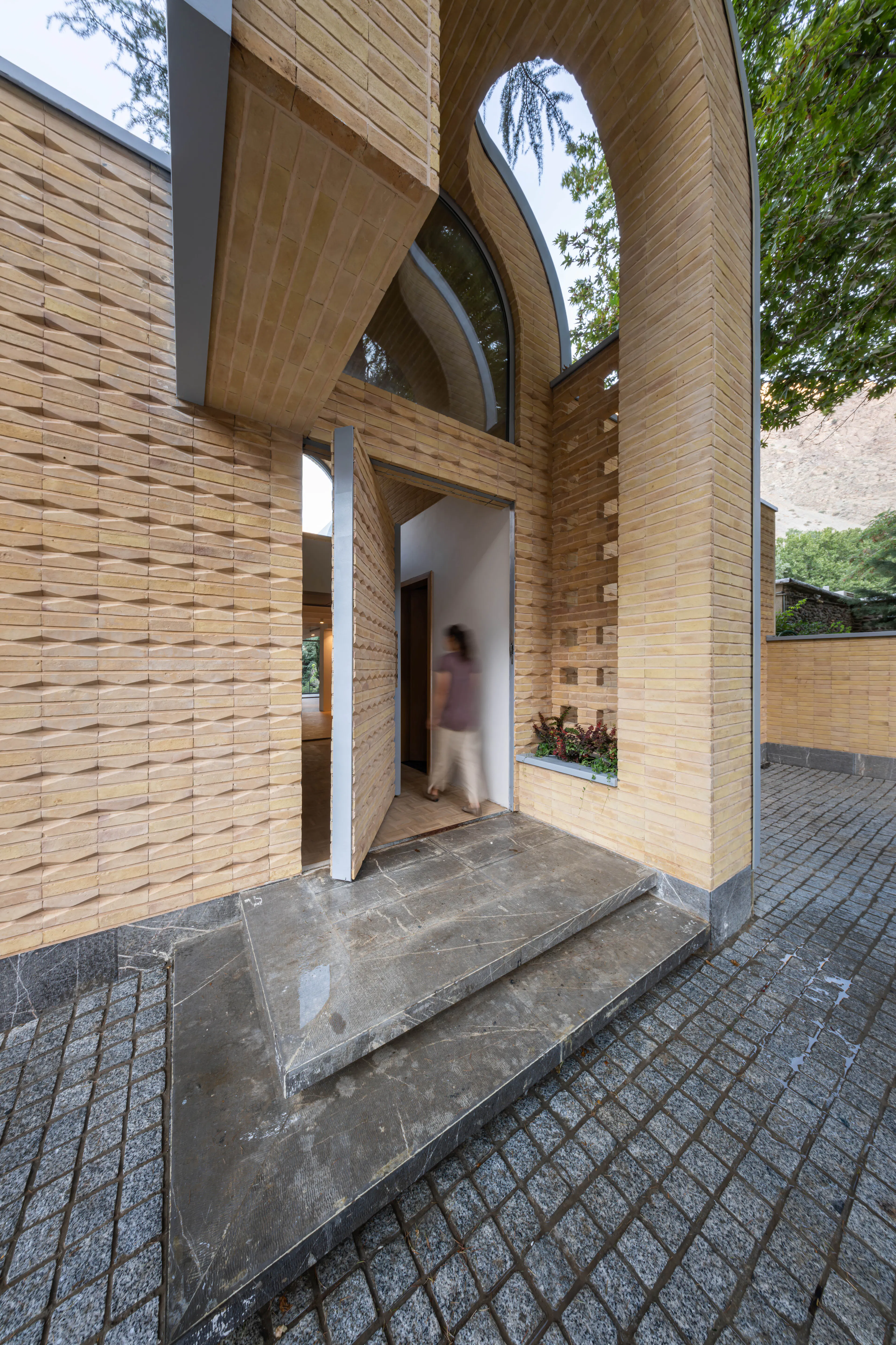 A House Looking to a Cedrus Tree — 11