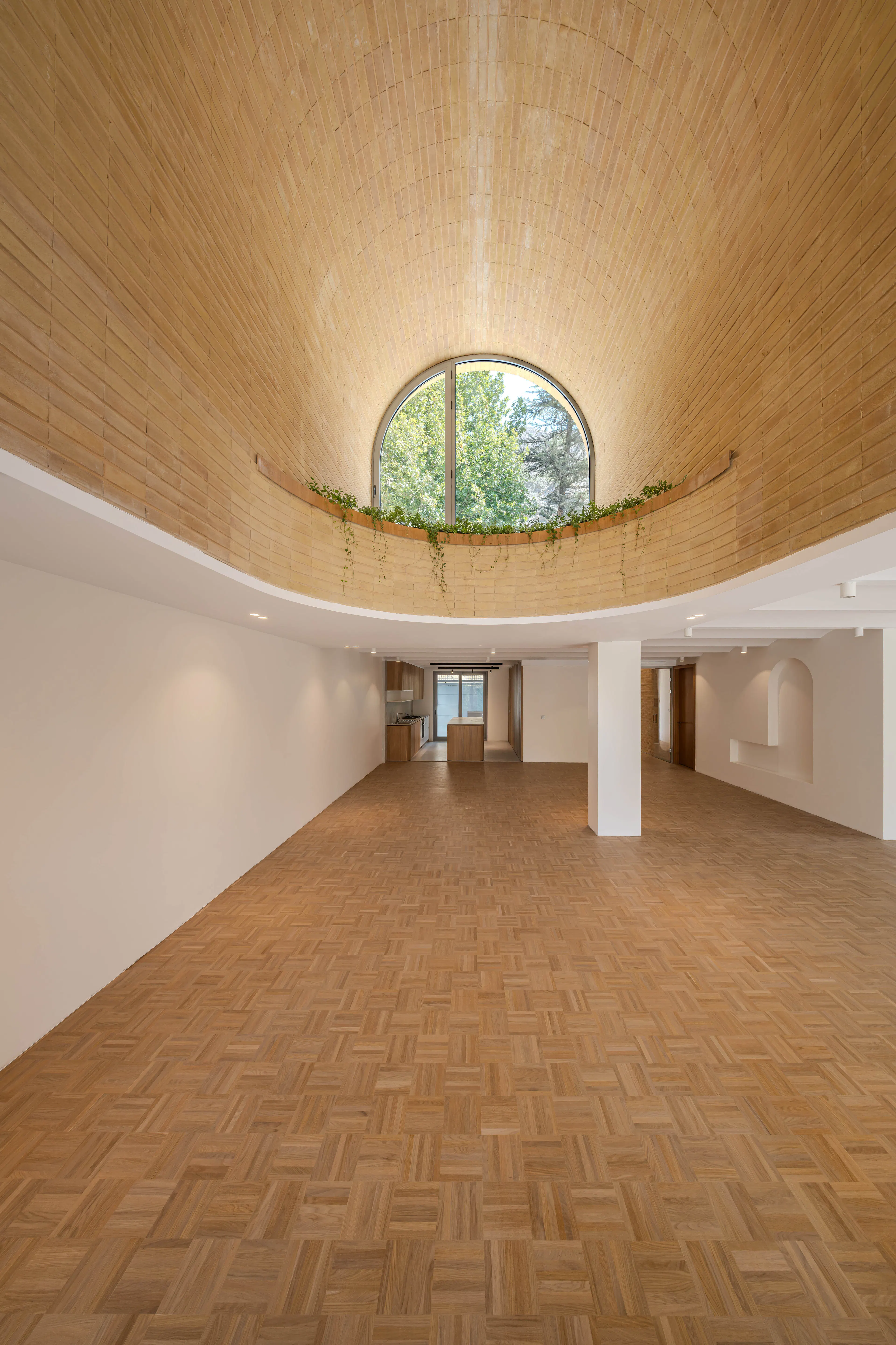 A House Looking to a Cedrus Tree — 17