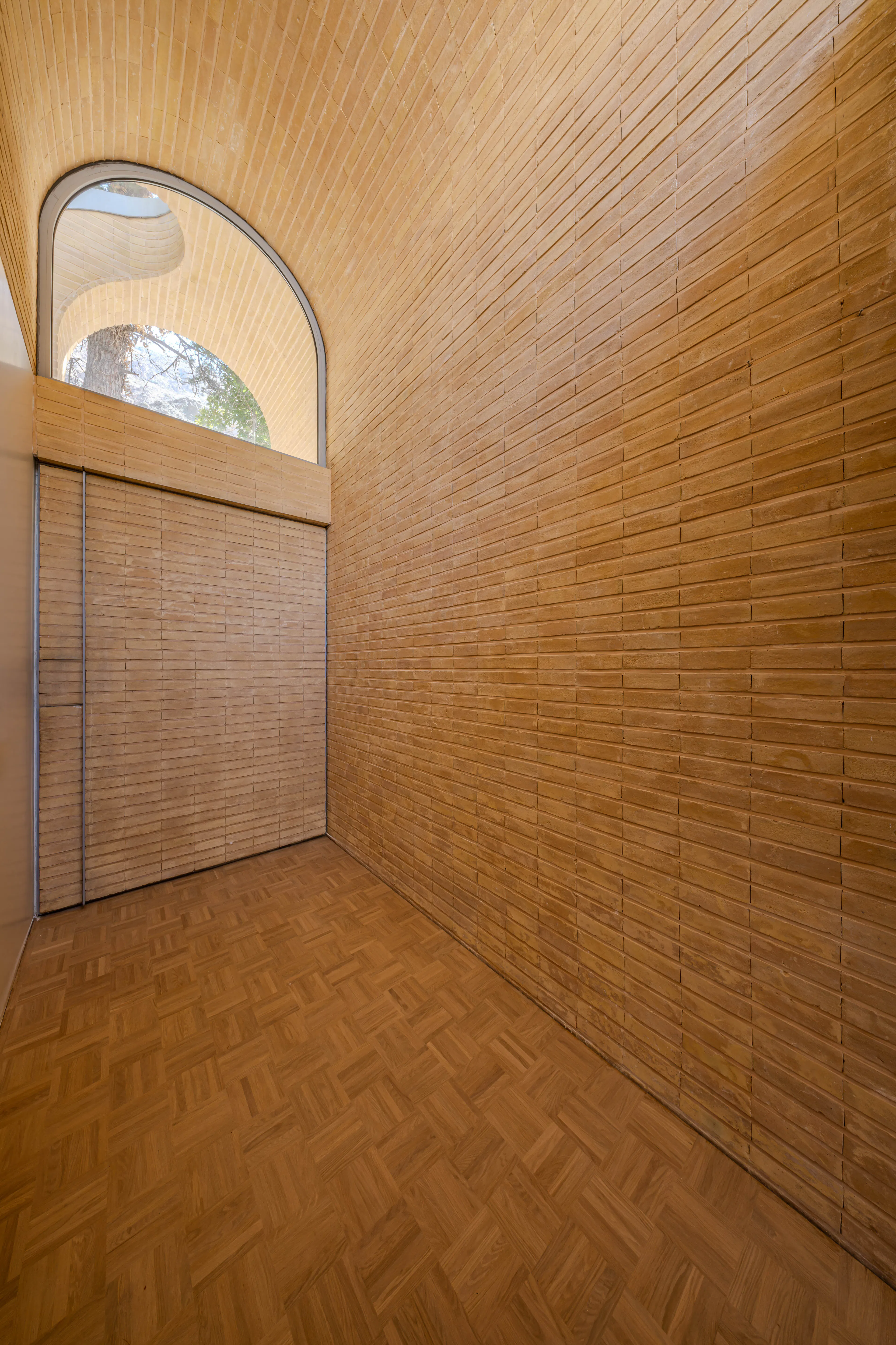 A House Looking to a Cedrus Tree — 12