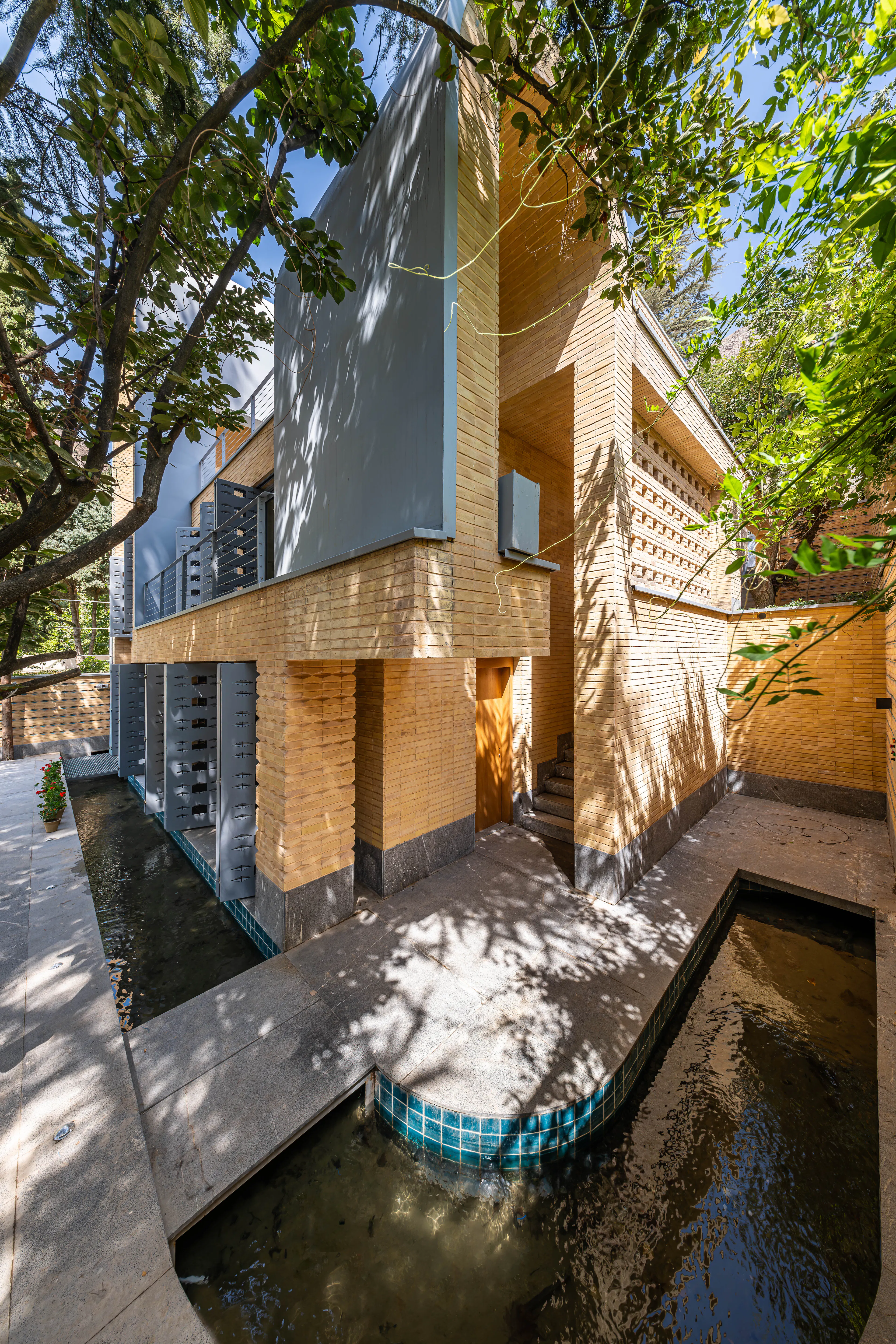 A House Looking to a Cedrus Tree — 34