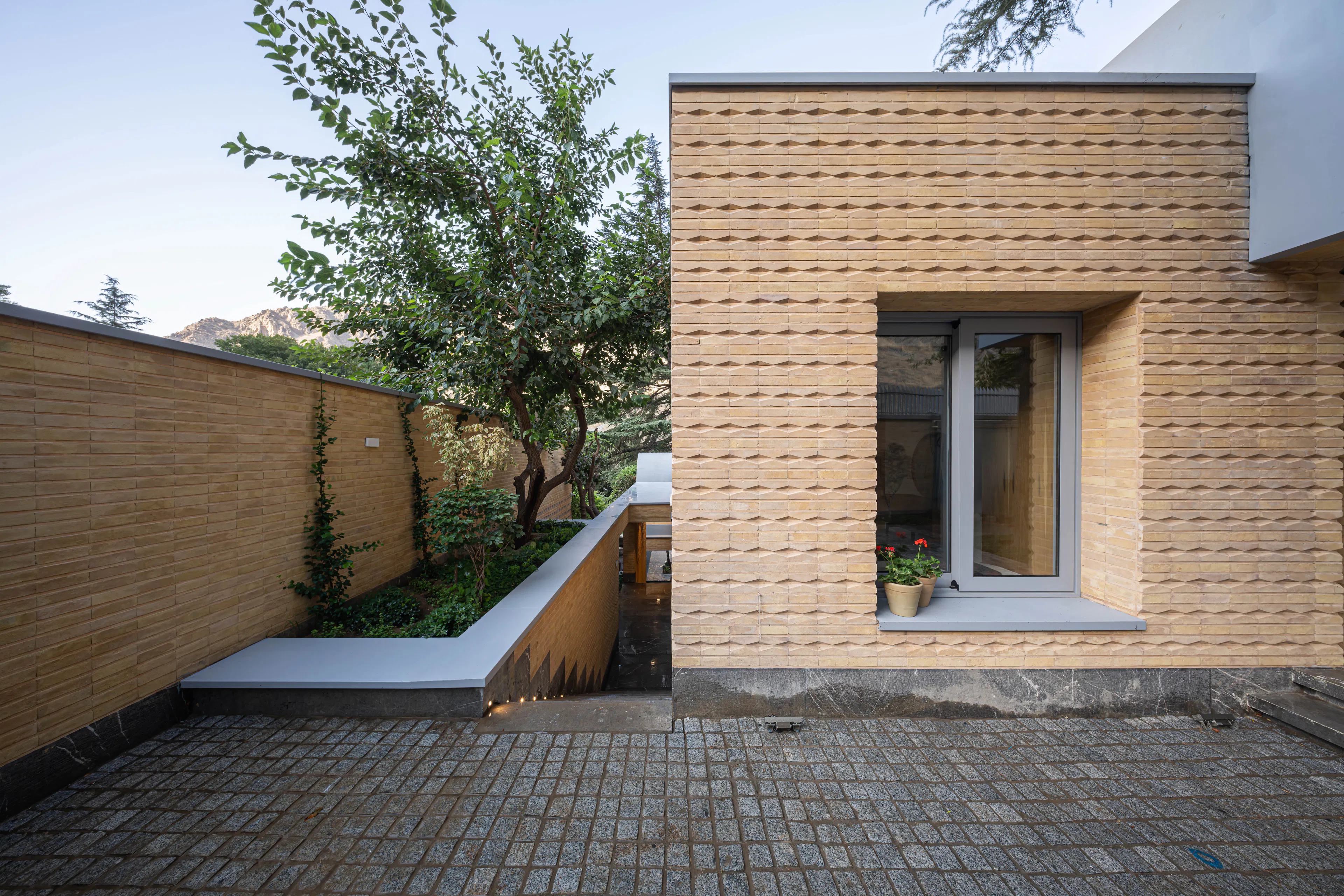 A House Looking to a Cedrus Tree — 23