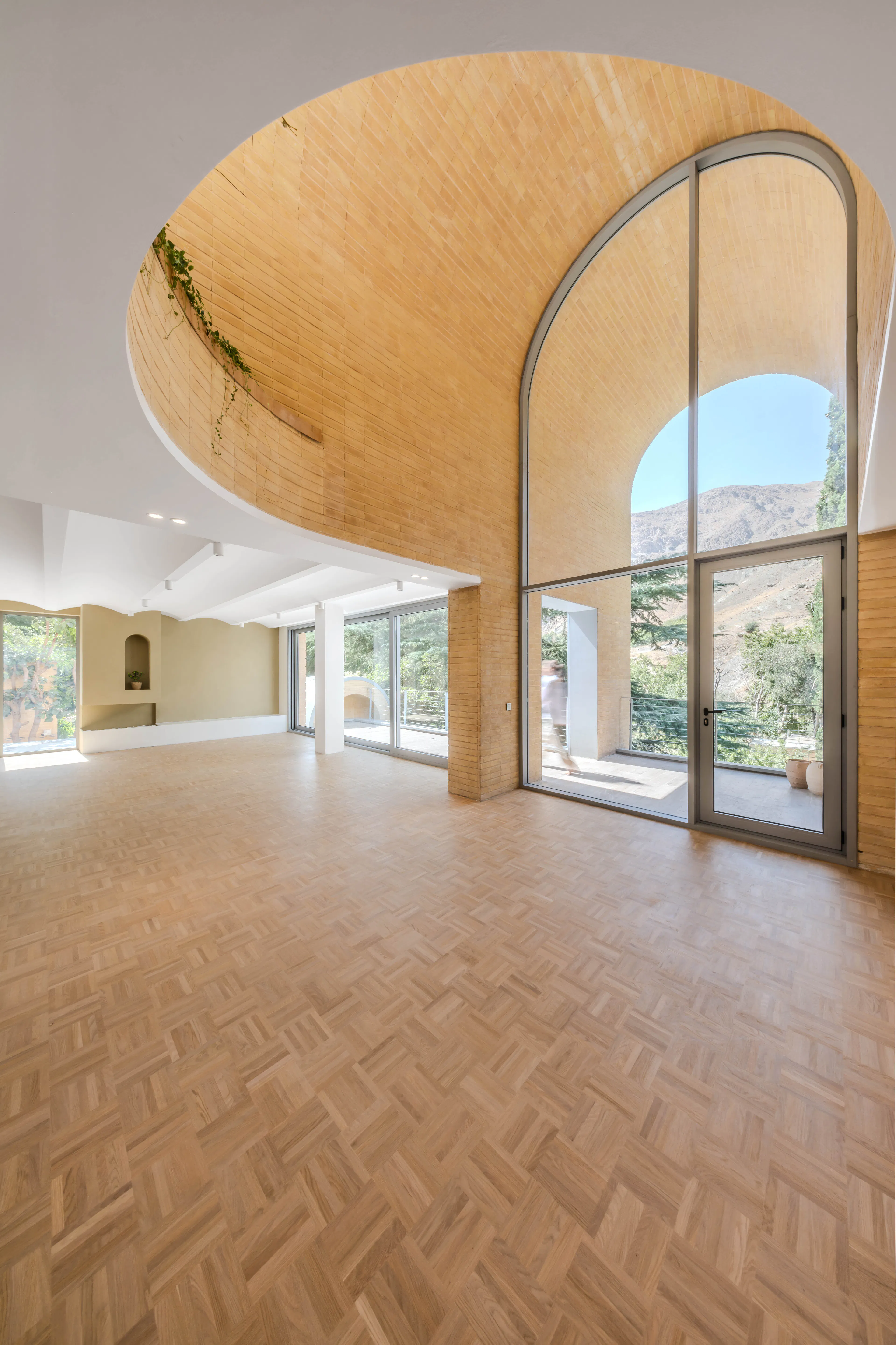 A House Looking to a Cedrus Tree — 19