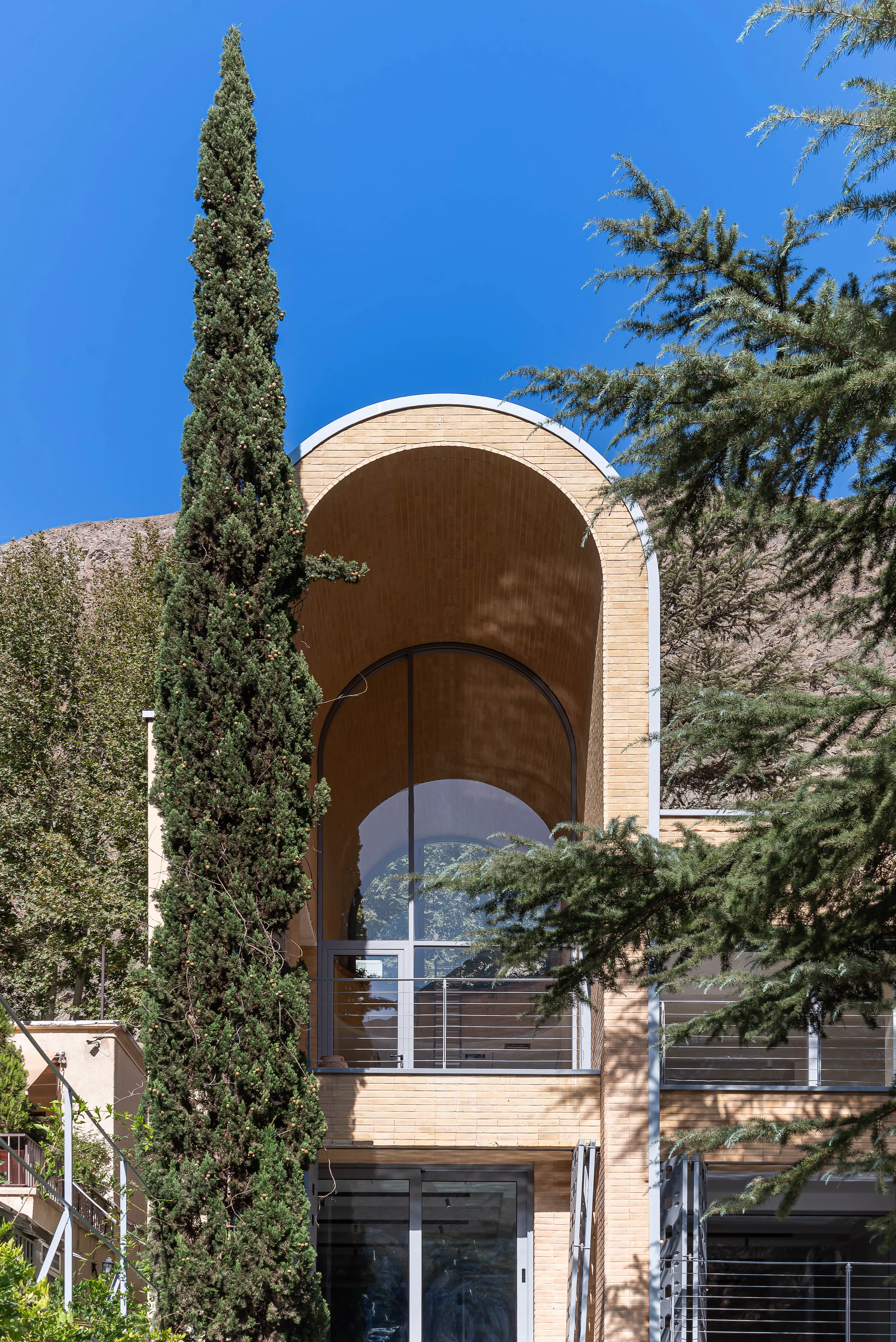 A House Looking to a Cedrus Tree — 37