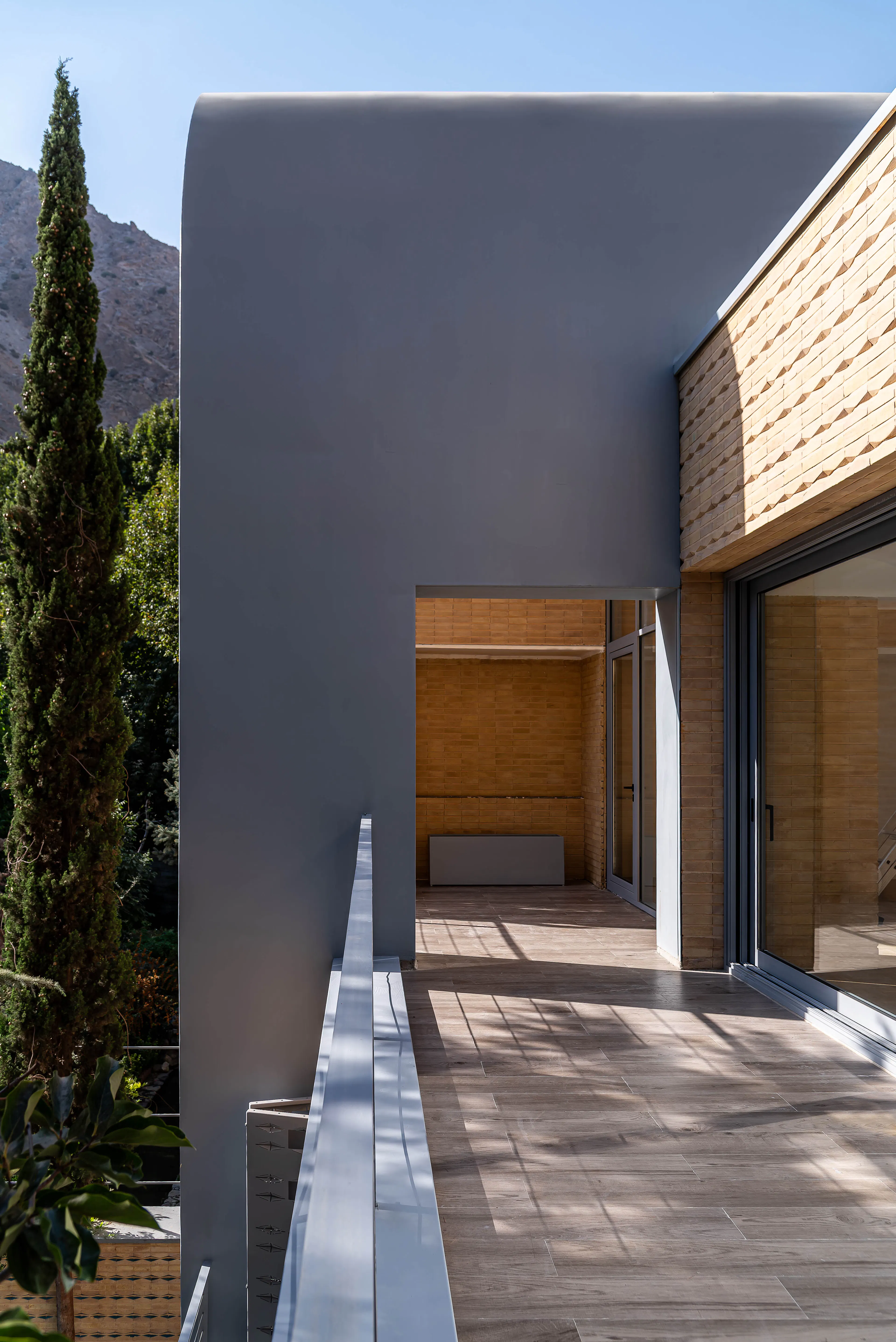 A House Looking to a Cedrus Tree — 41