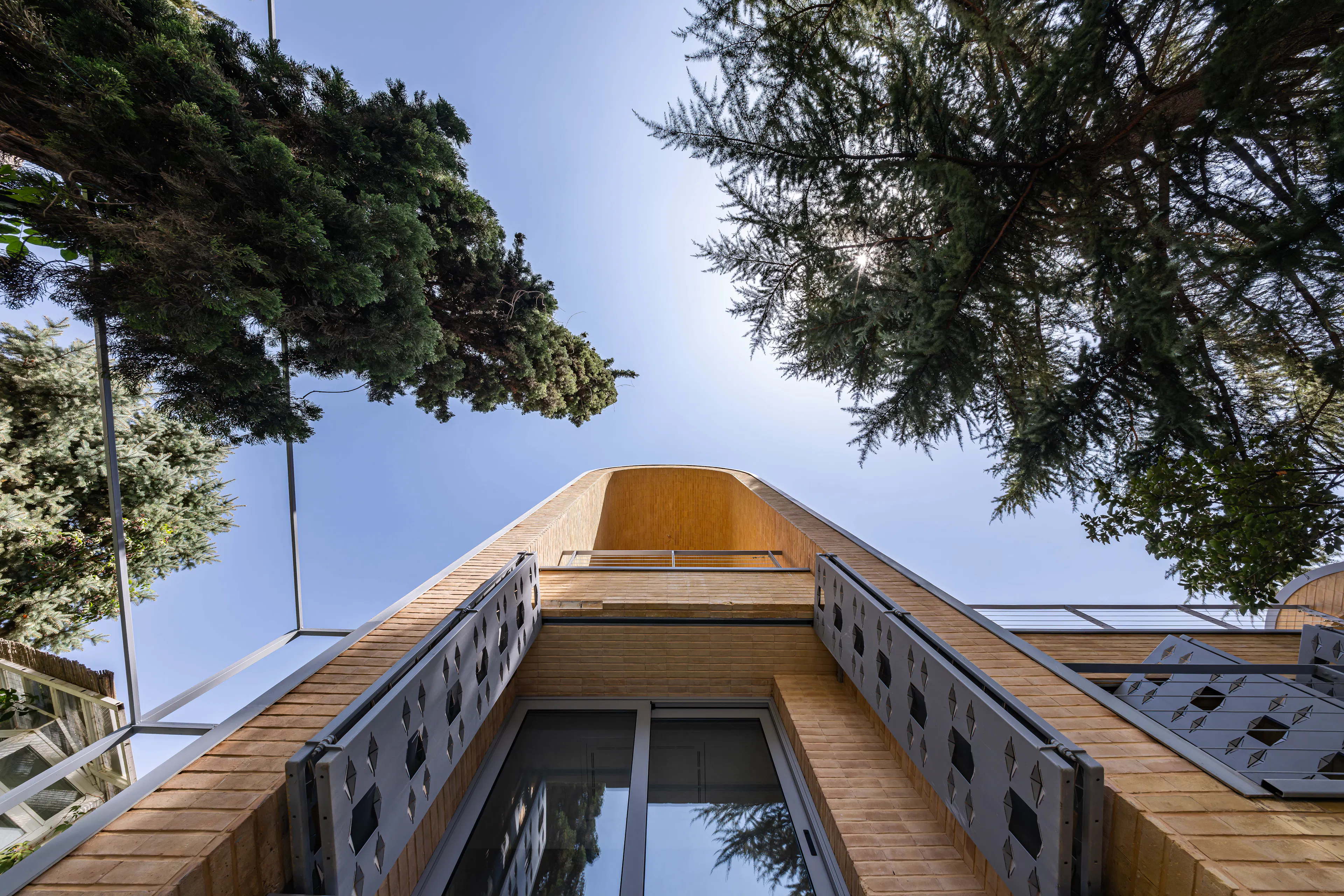 A House Looking to a Cedrus Tree — 42