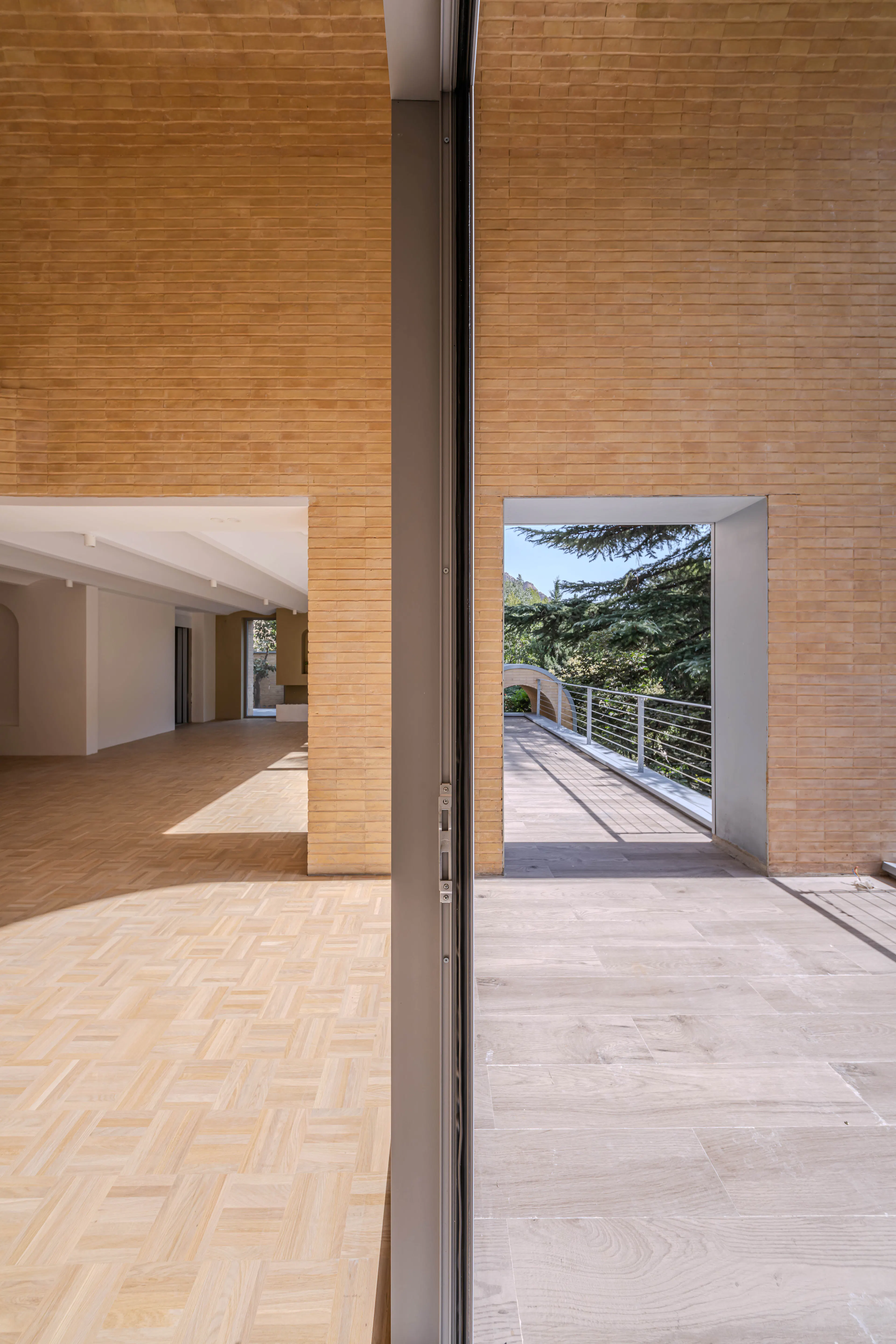 A House Looking to a Cedrus Tree — 18