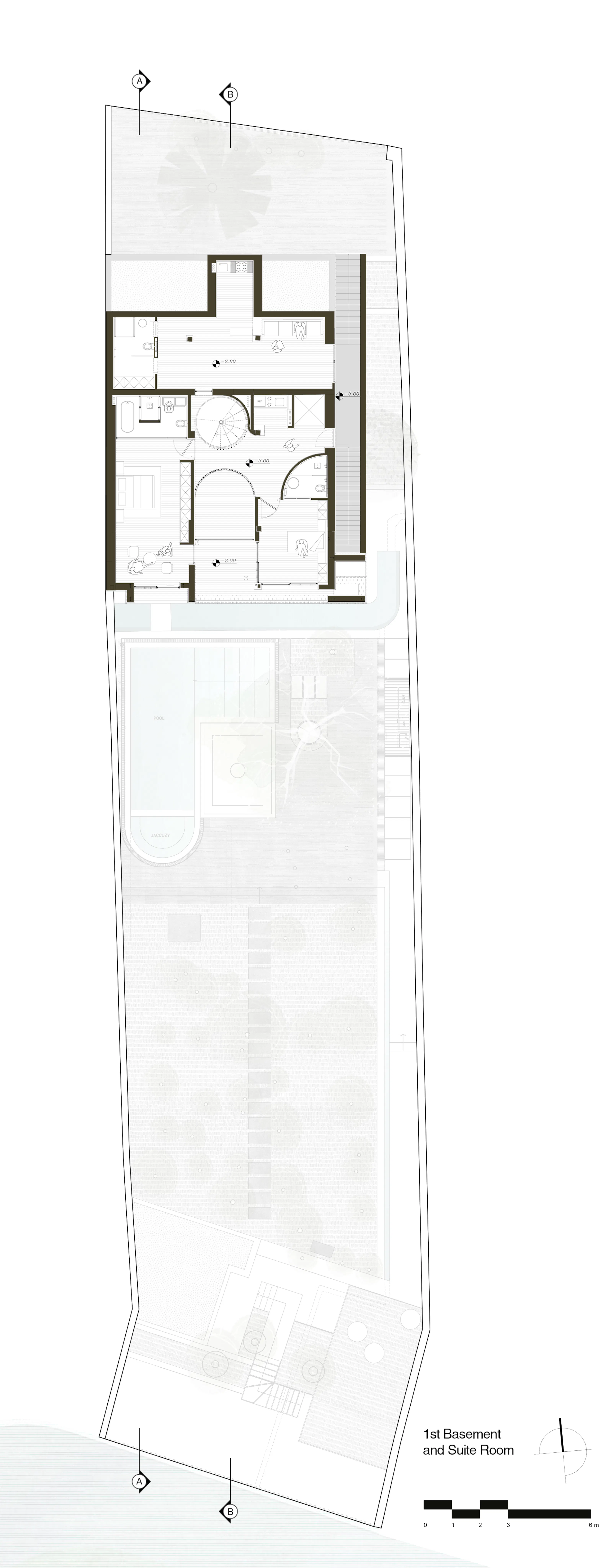 A House Looking to a Cedrus Tree — 45