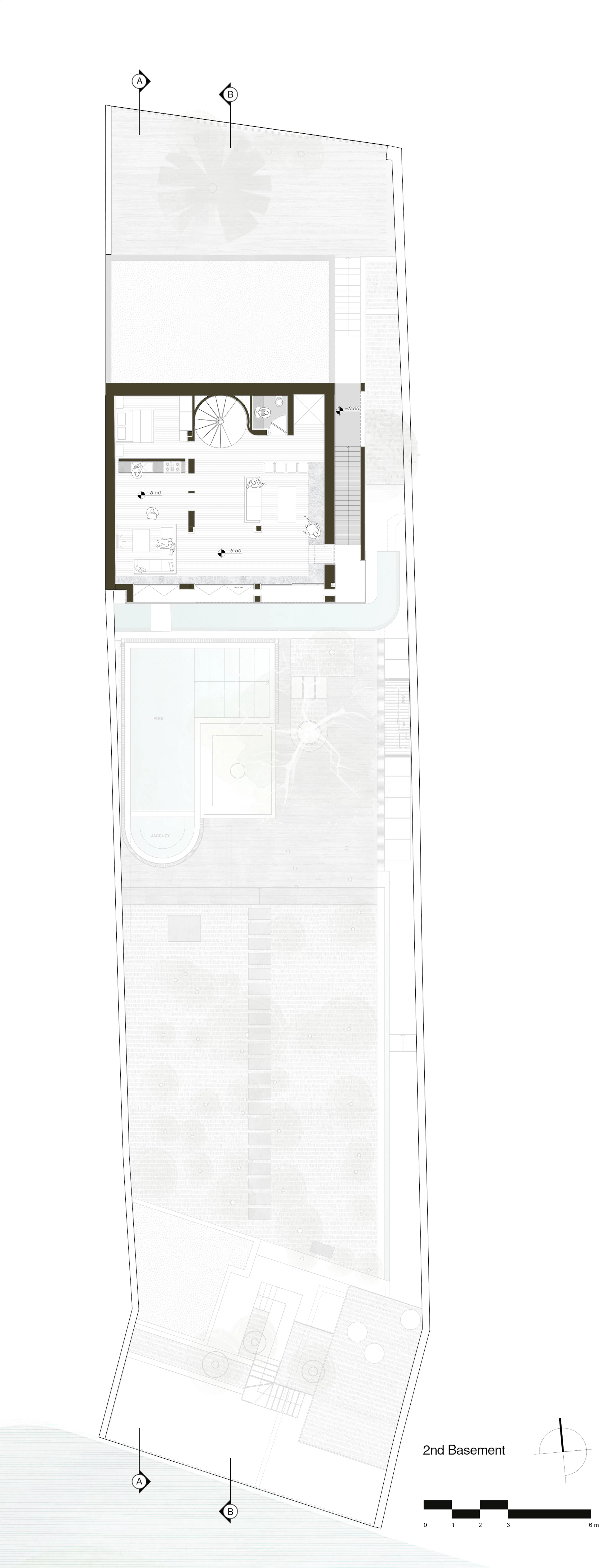 A House Looking to a Cedrus Tree — 46