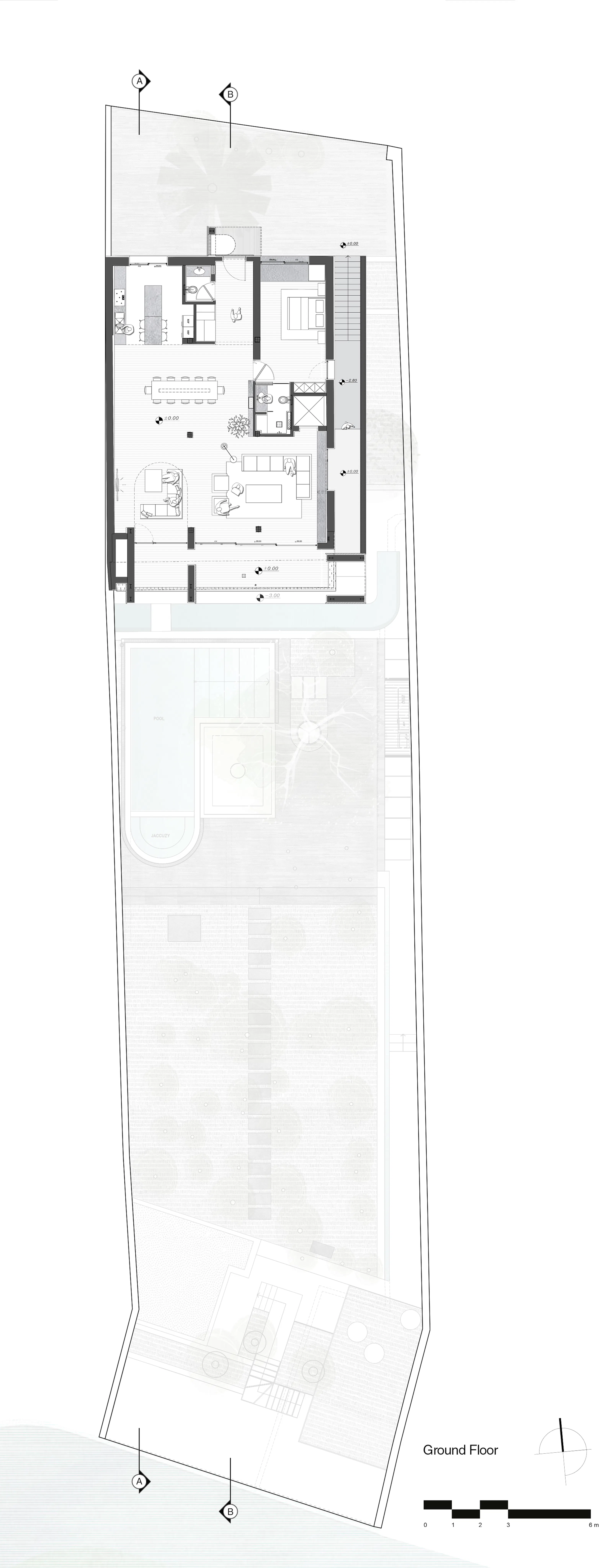 A House Looking to a Cedrus Tree — 47