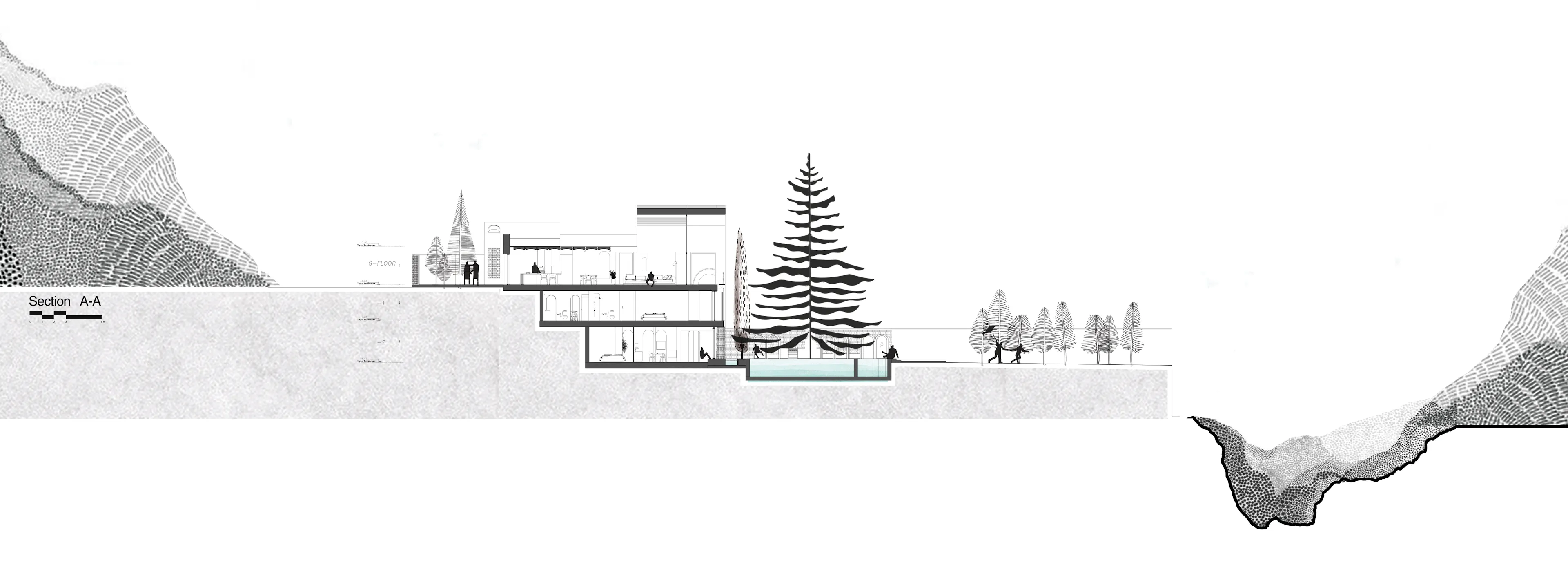 A House Looking to a Cedrus Tree — 50