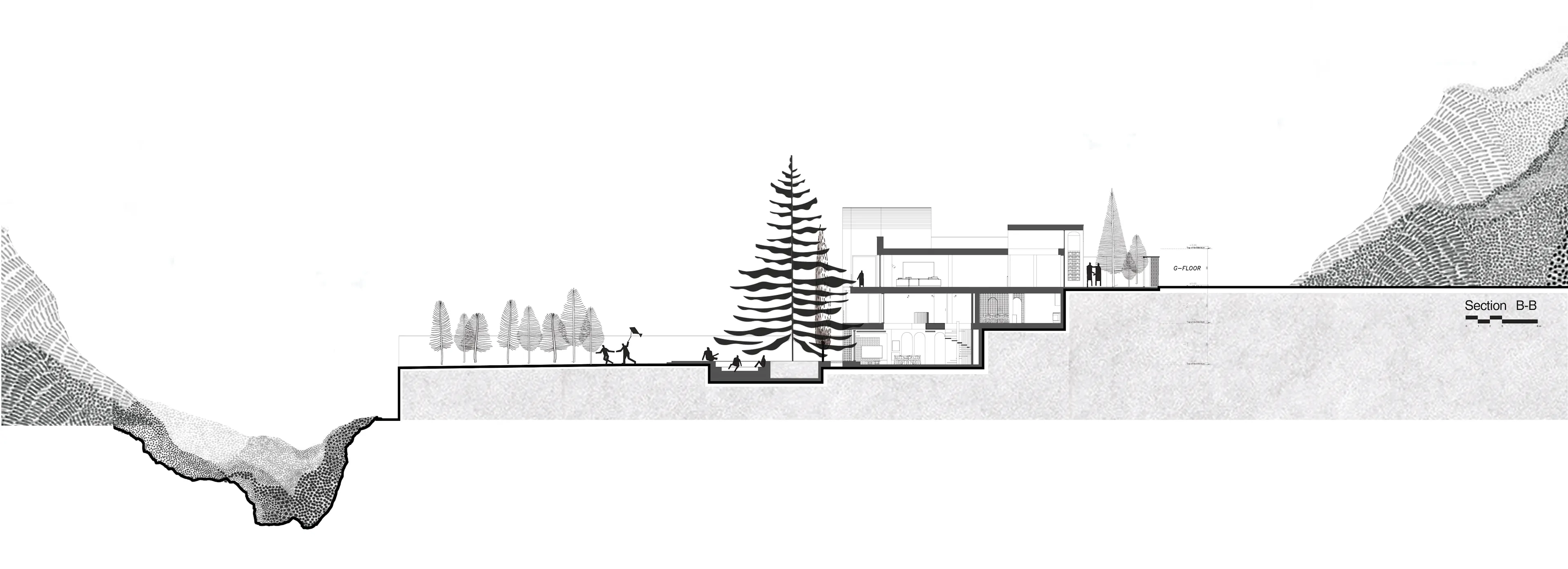 A House Looking to a Cedrus Tree — 49