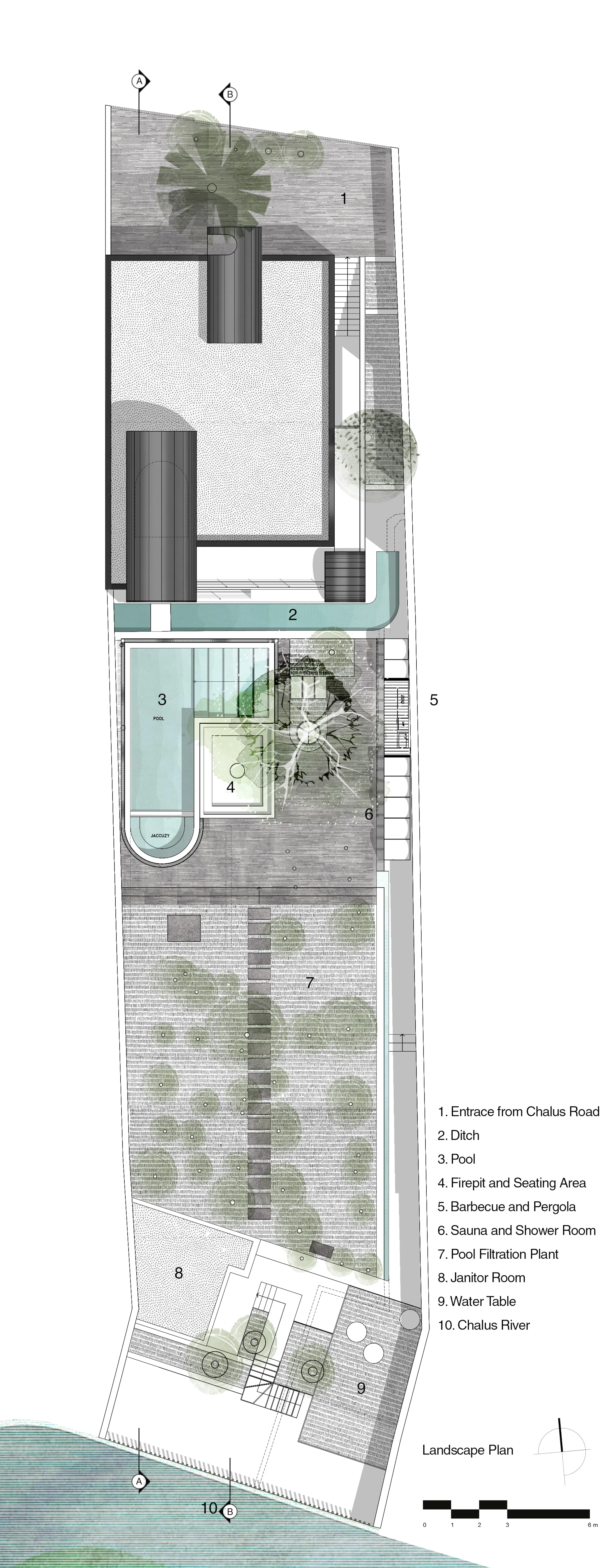 A House Looking to a Cedrus Tree — 48