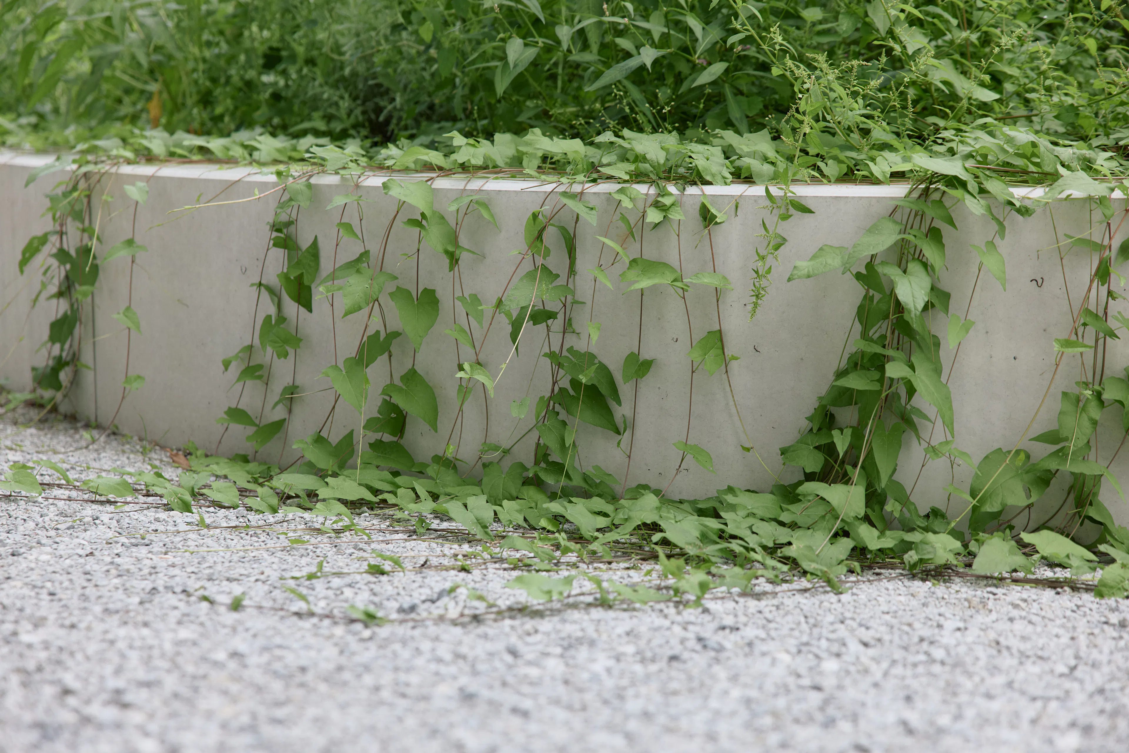 Lechner & Lechner Architects — 9