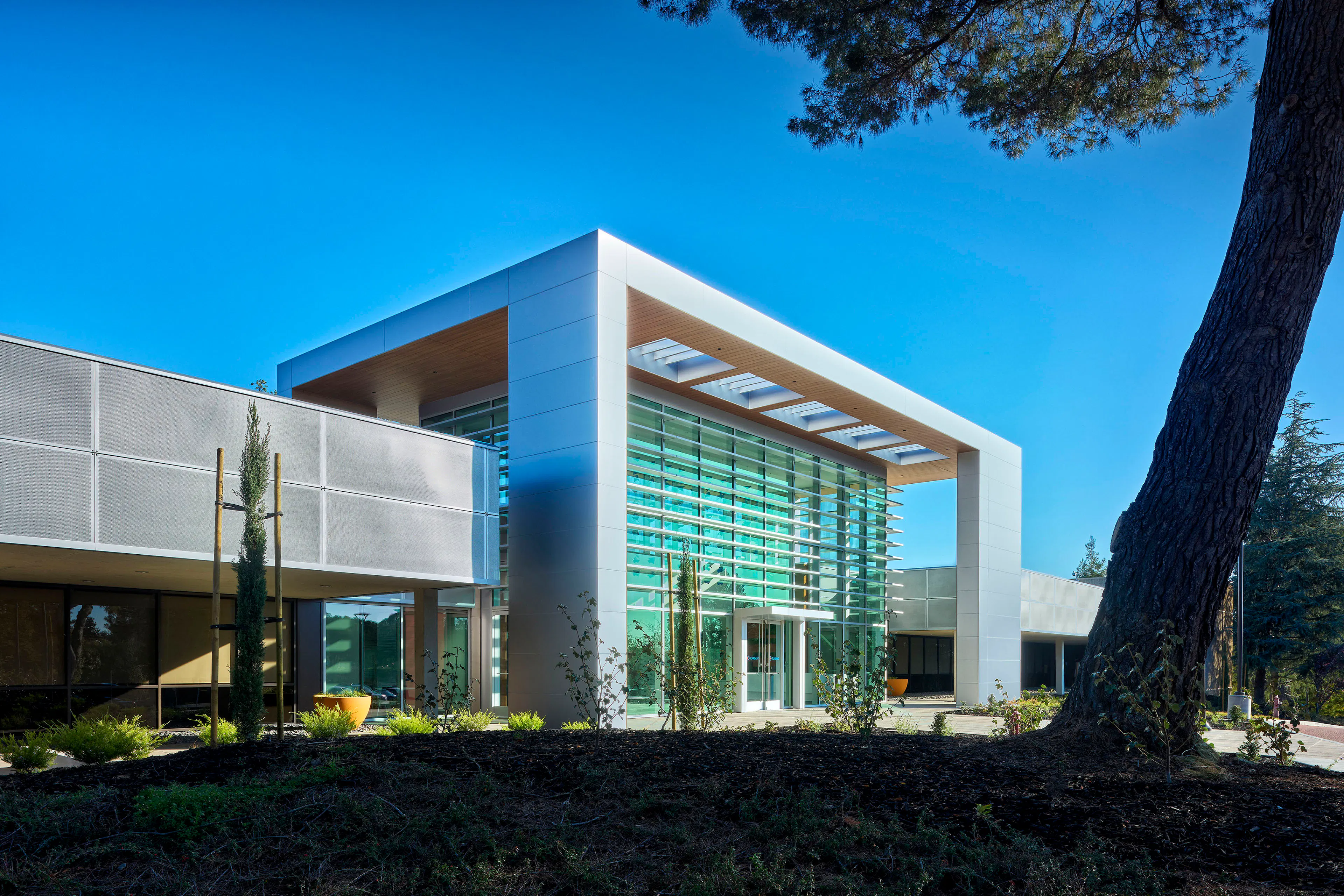 Verdant Sanctuary — 4