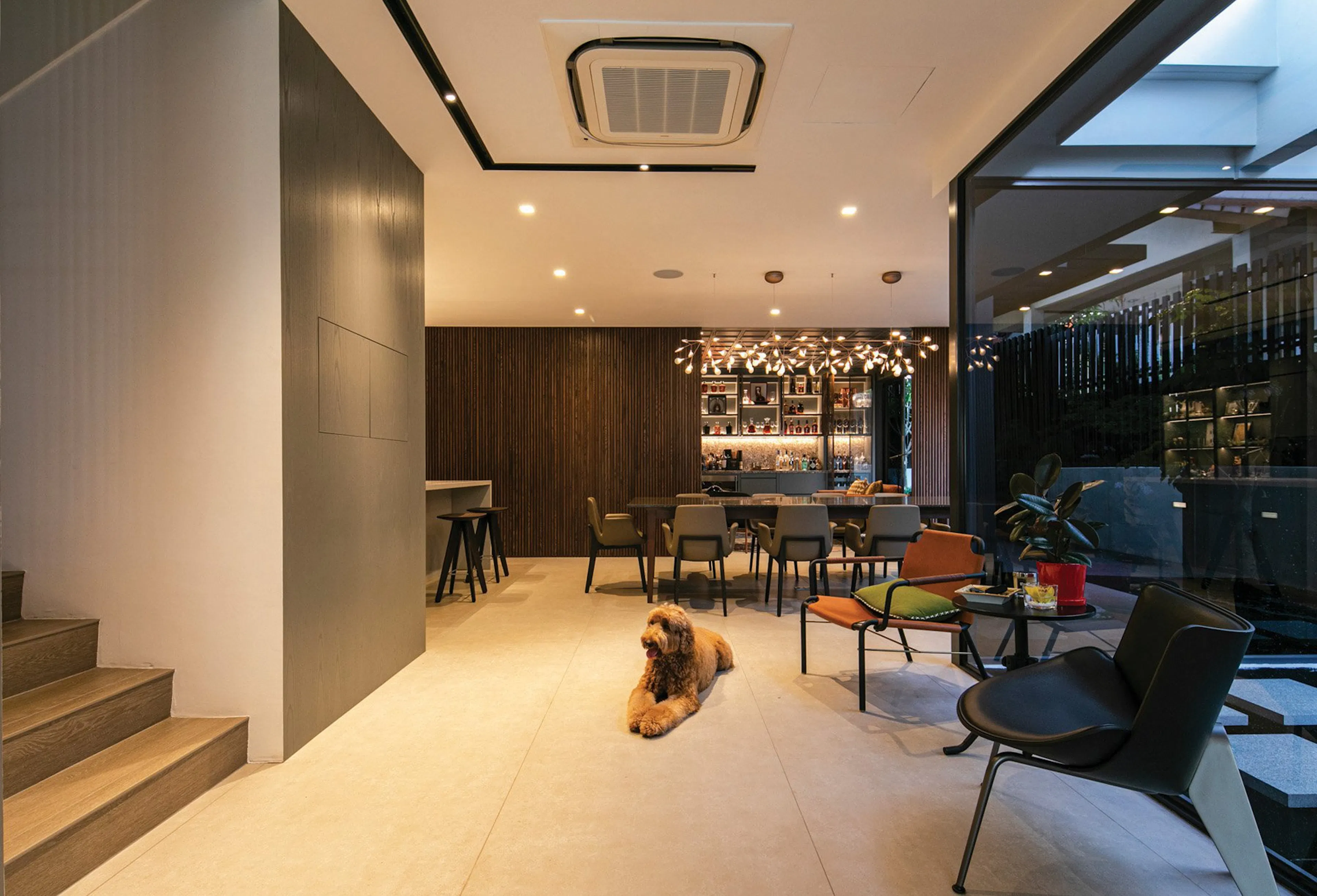 Mam Concept Restaurant — 15