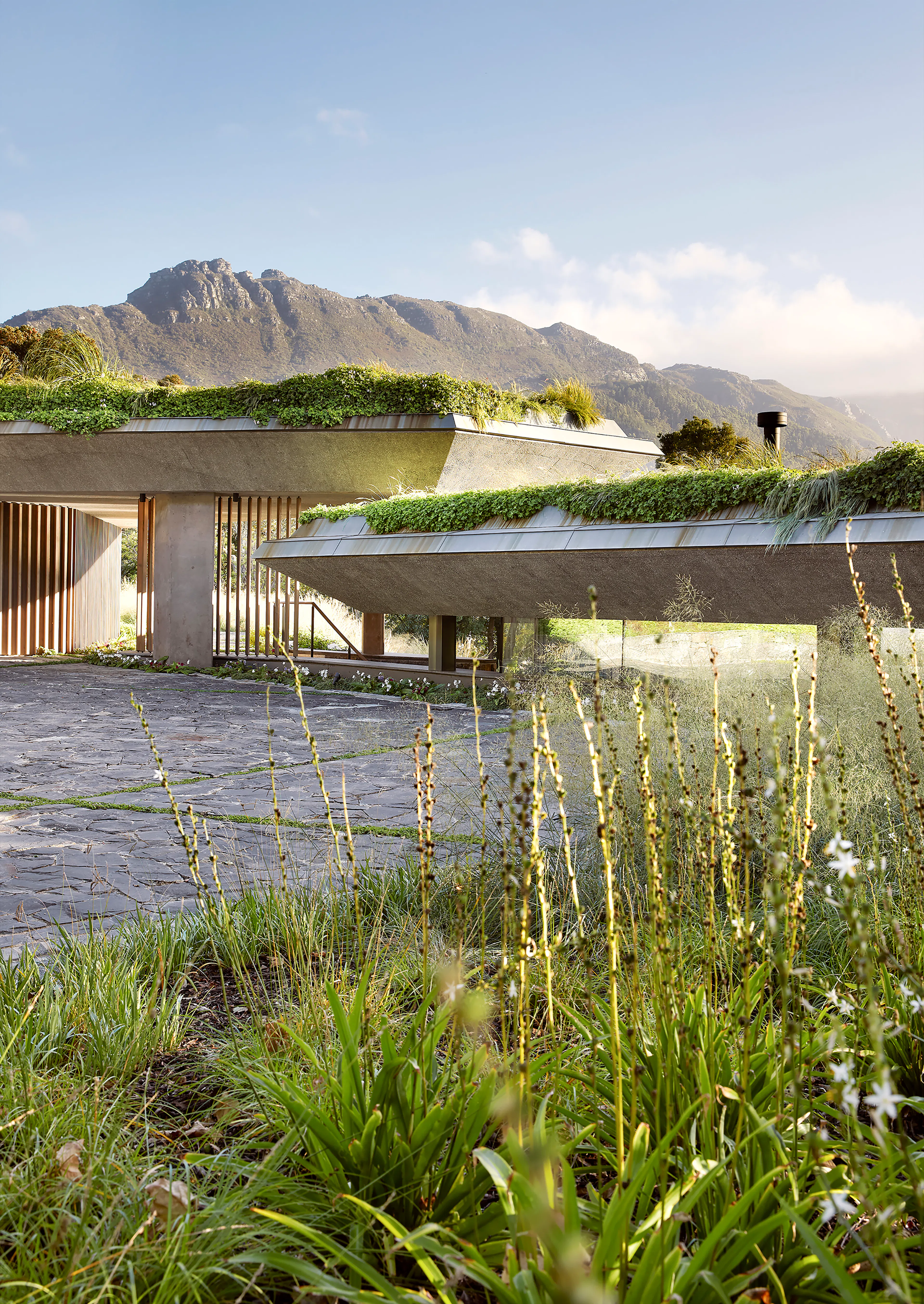 Planted Pavilion — 2