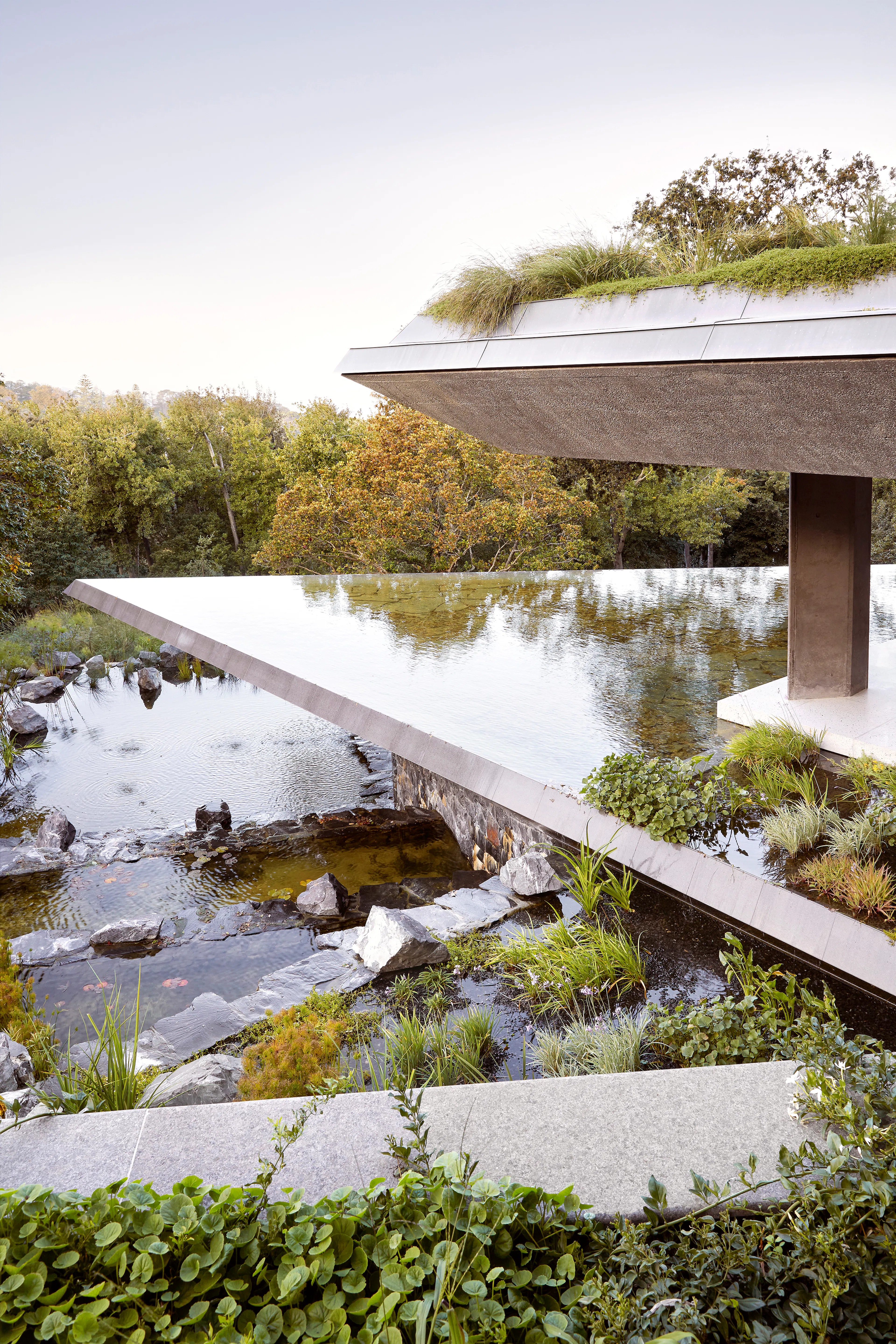 Planted Pavilion — 14