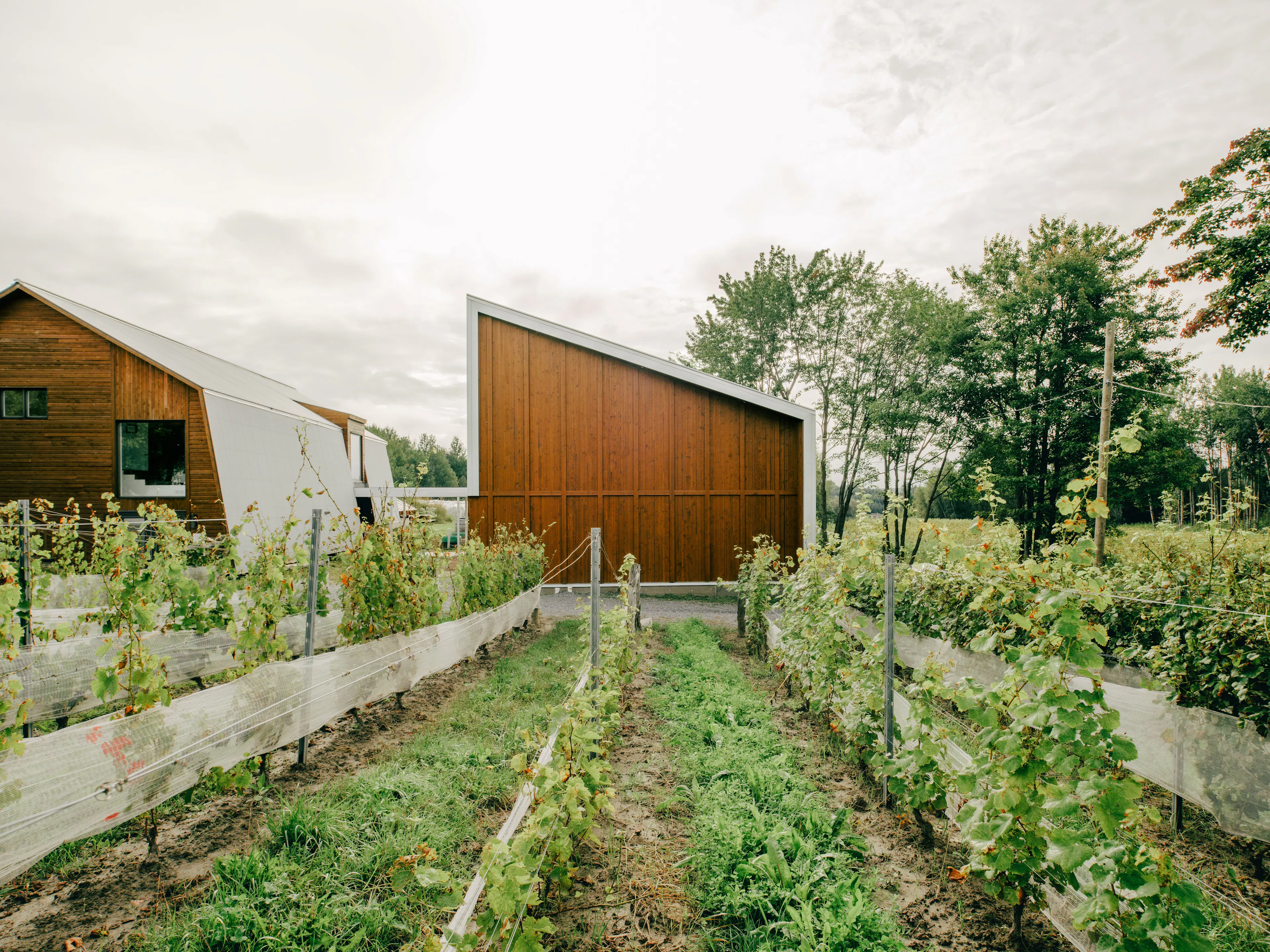 Bibliothèque de St-Colomban — 26