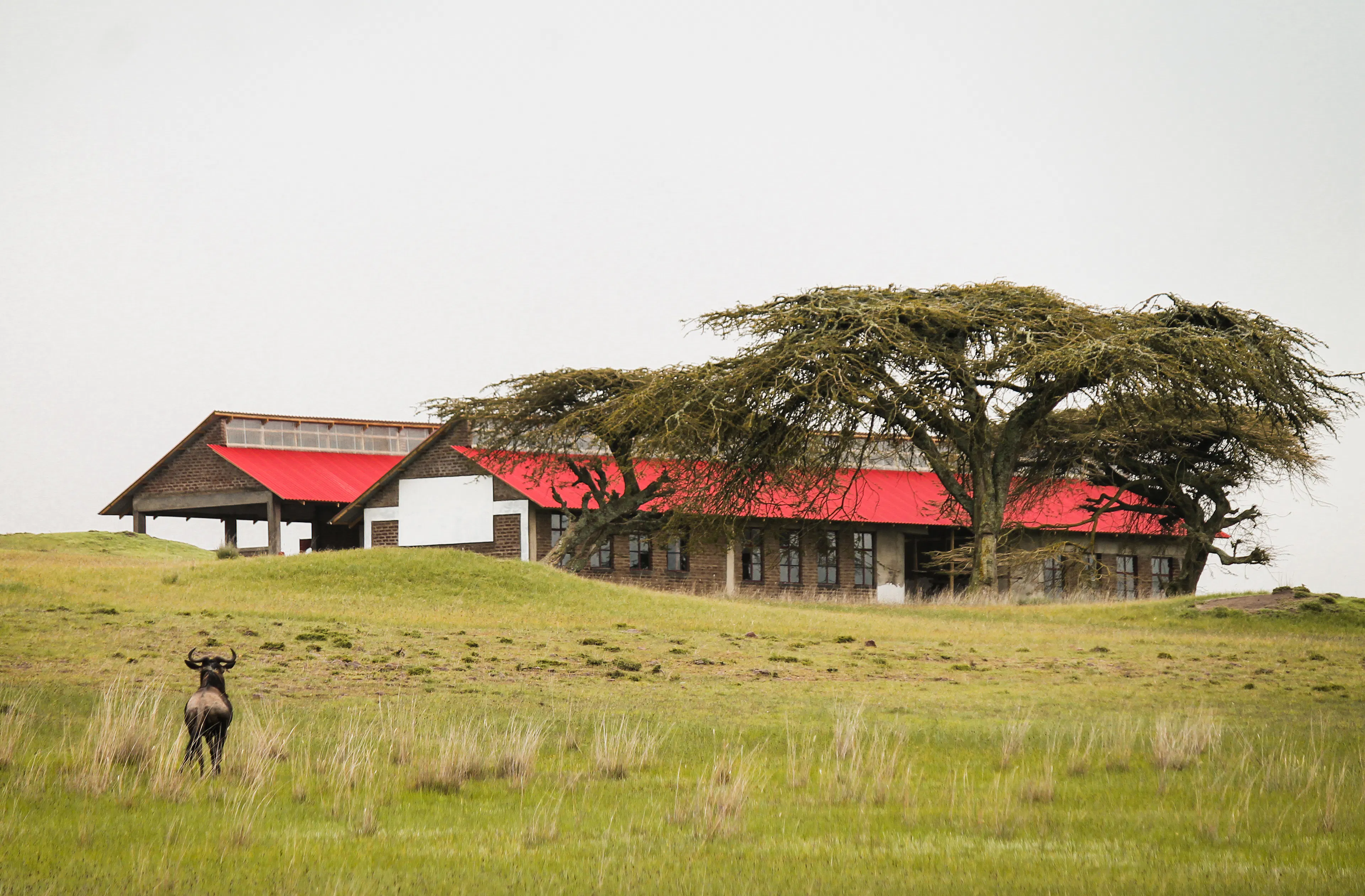 Bibliothèque de St-Colomban — 23