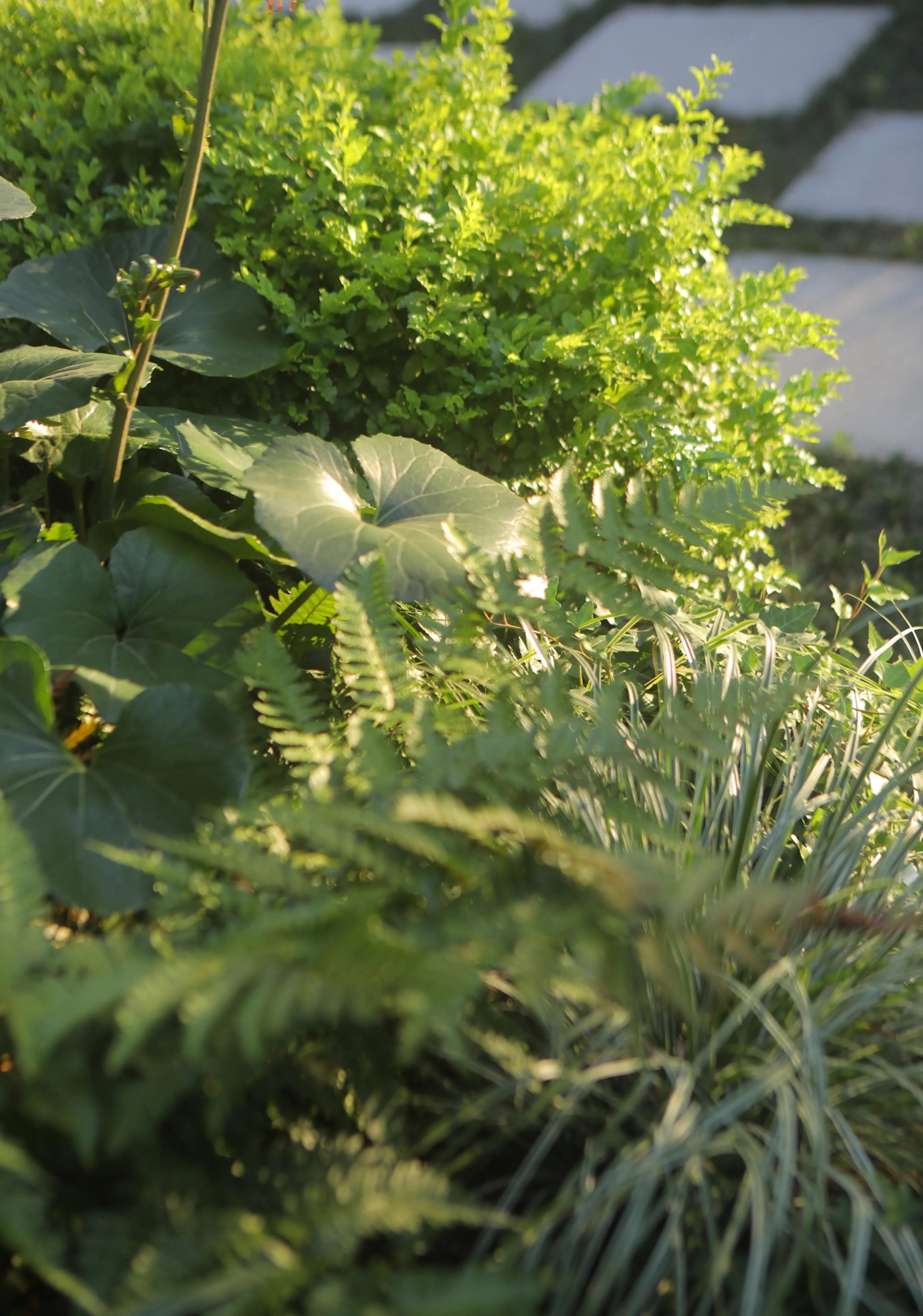 Shanghai WLA Artificial Intelligence Lab Gardens — 18