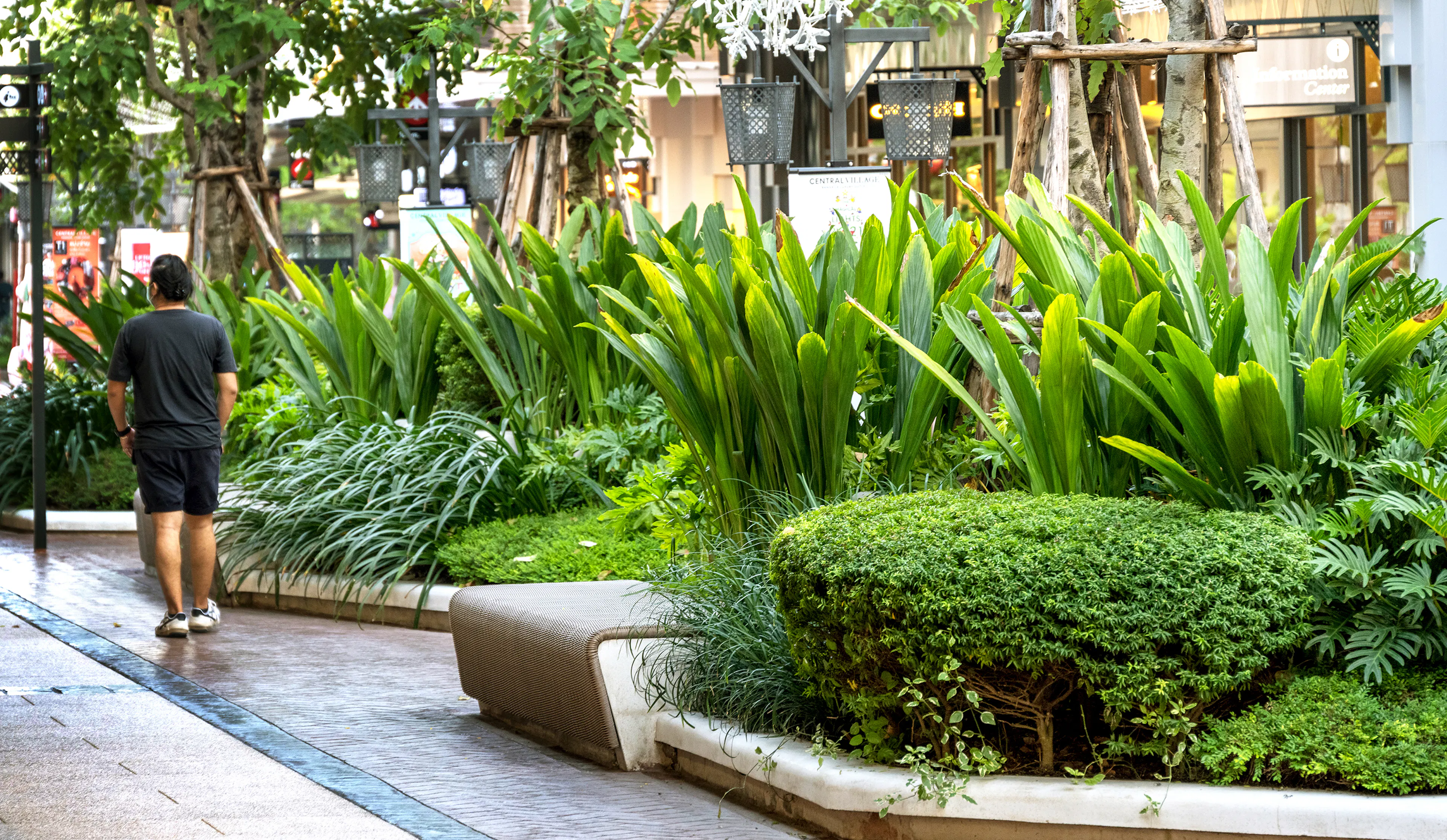 LIFE LADPRAO THE VALLEY — 16