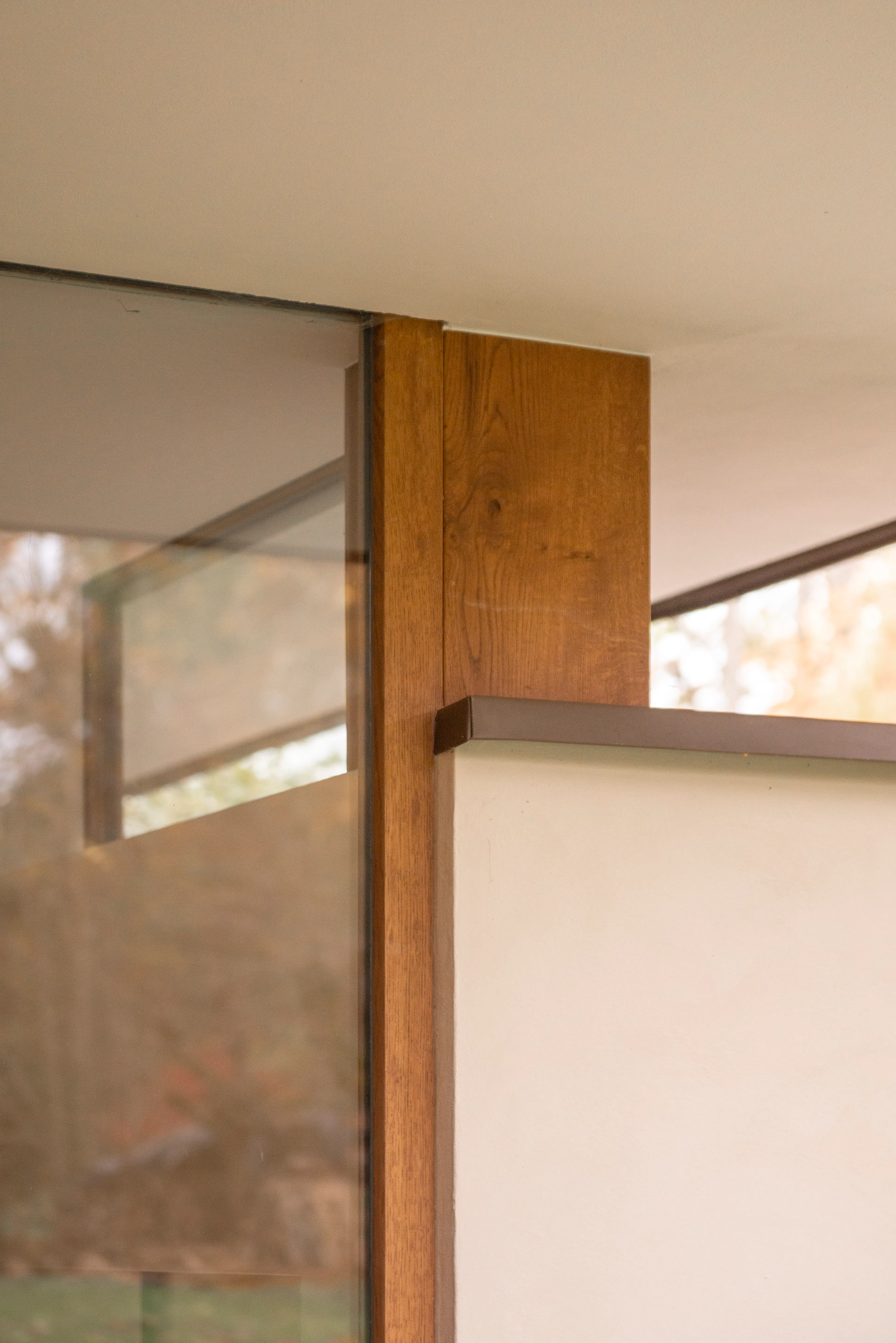 Sous les Ailes — 15