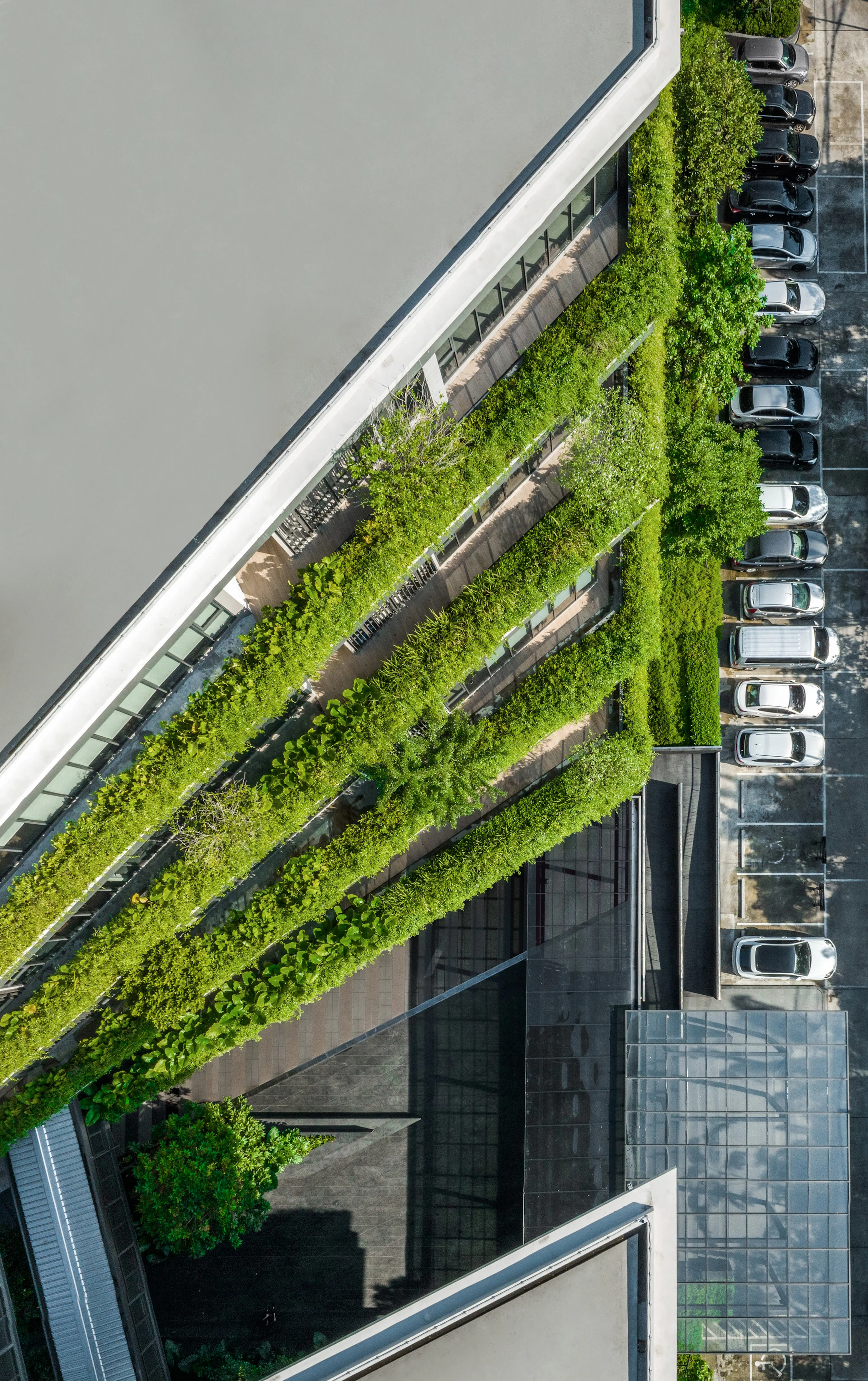 111 Praditmanutham — 17