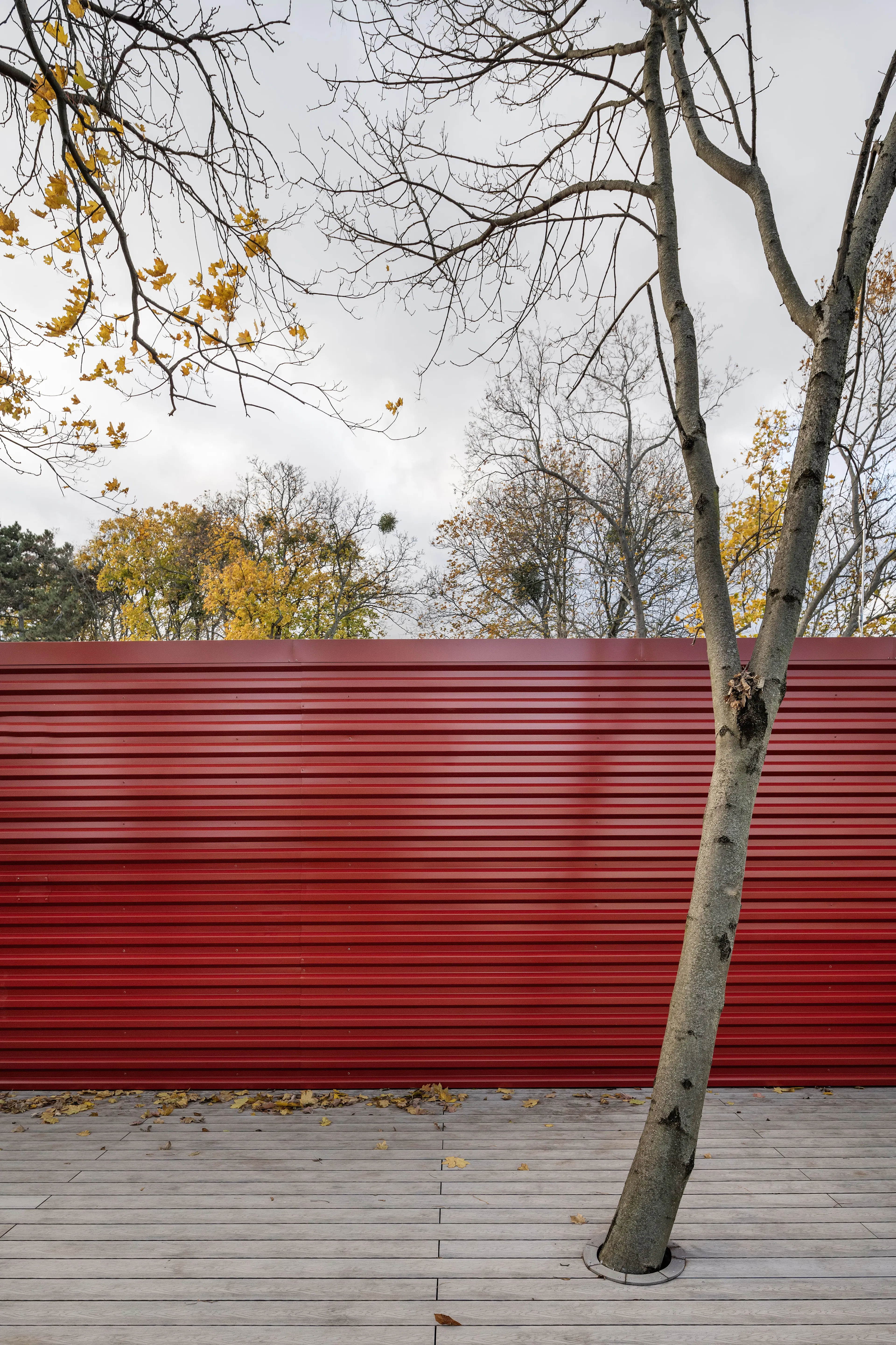 Container into Classroom - German School of Budapest — 7
