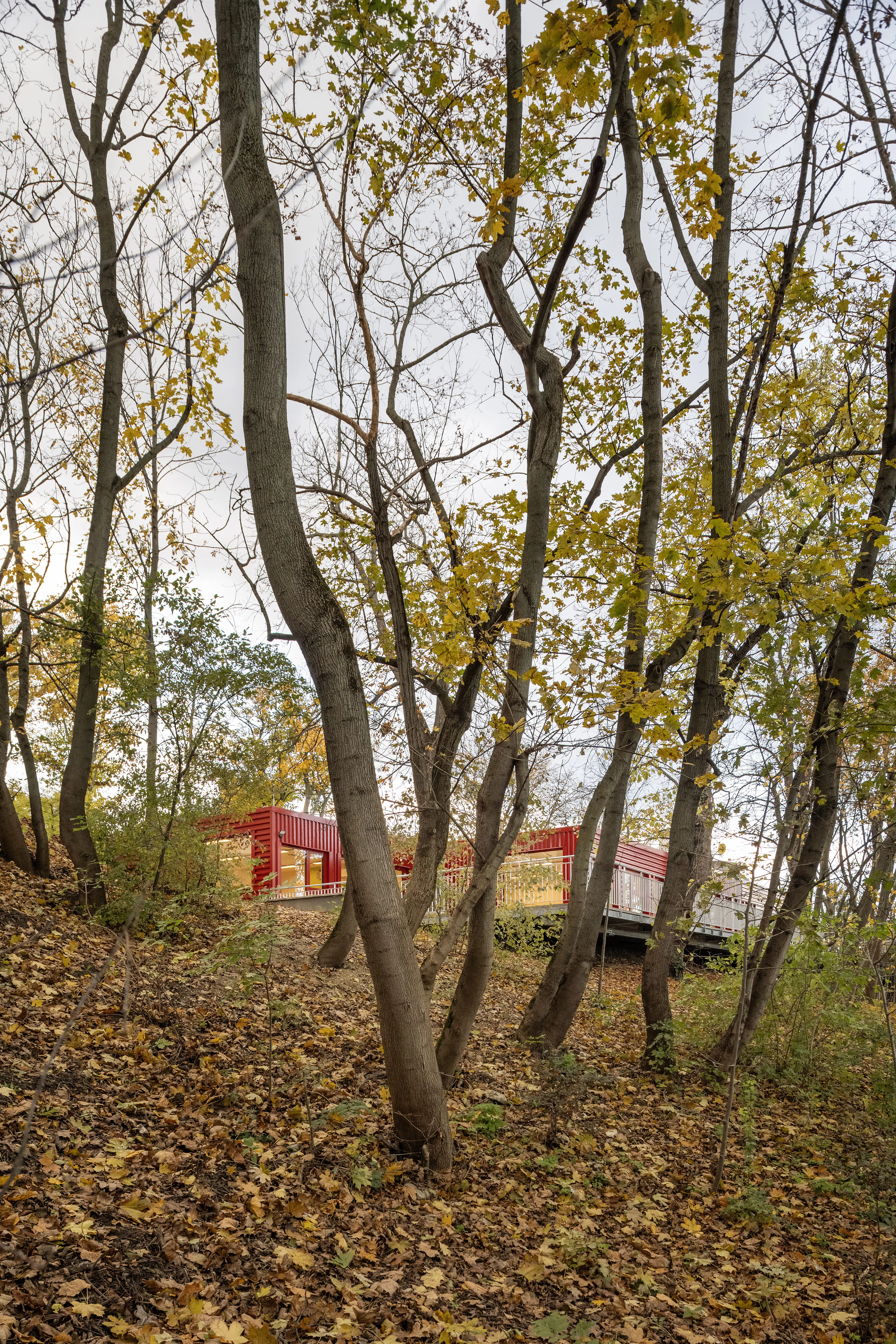 Container into Classroom - German School of Budapest — 8