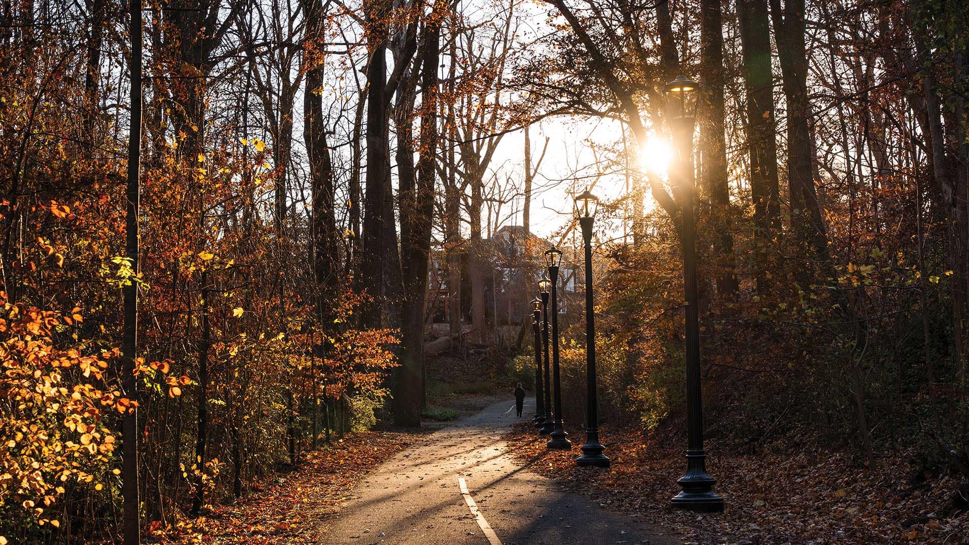 D.C. Street Light Project by Acuity - Architizer