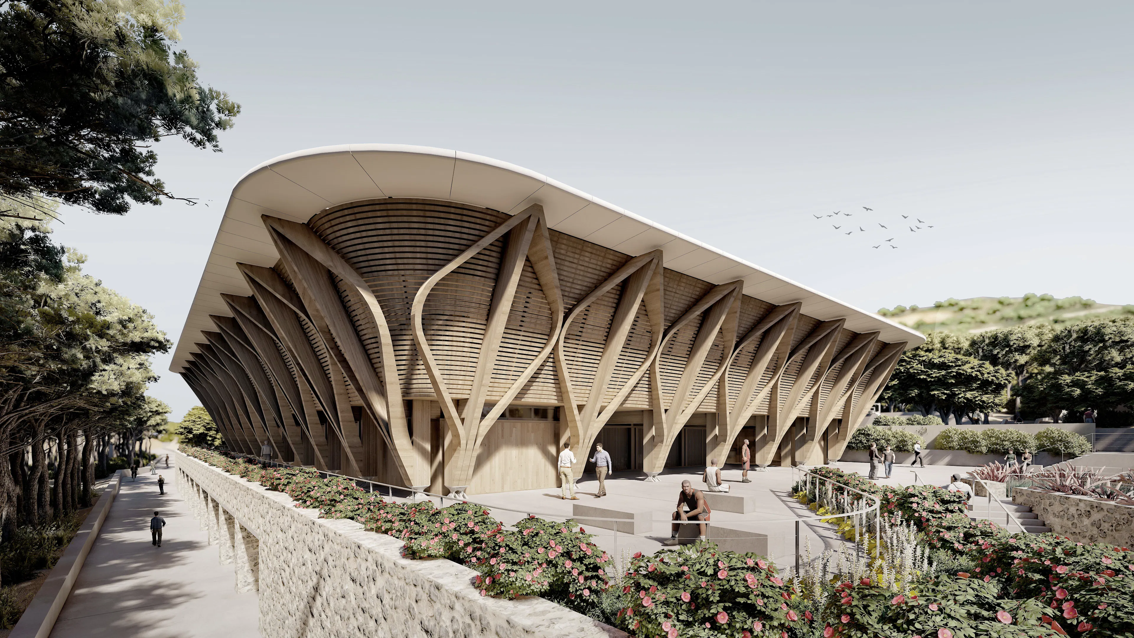 Kyathos I Mass Timber Arena — 1