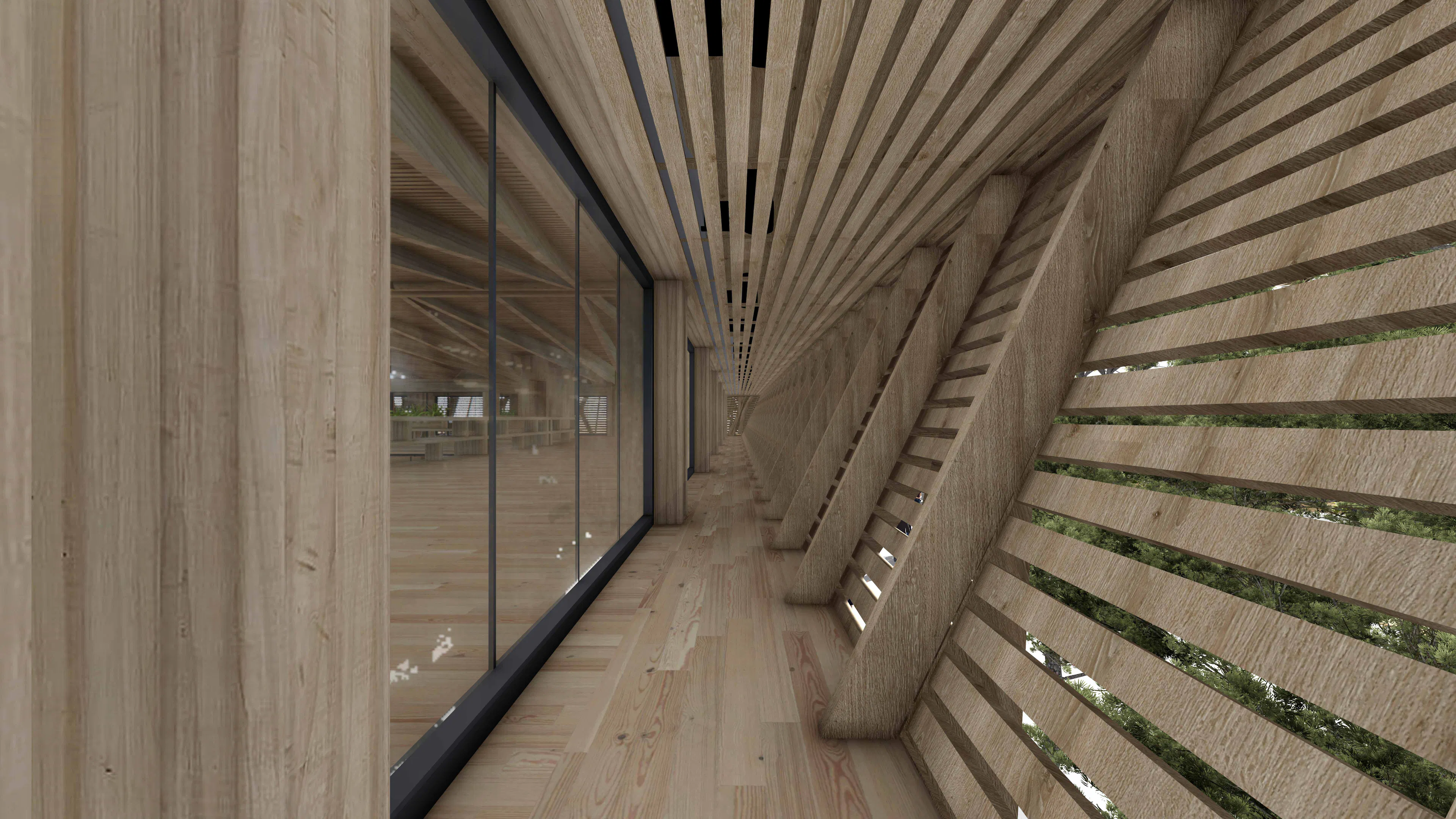 Kyathos I Mass Timber Arena — 4