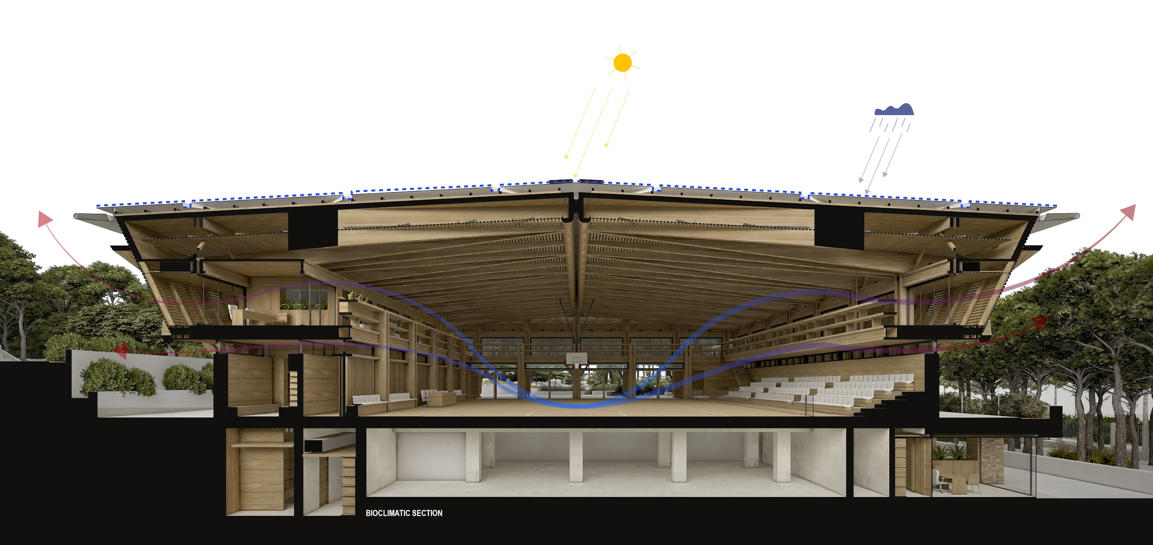 Kyathos I Mass Timber Arena — 8