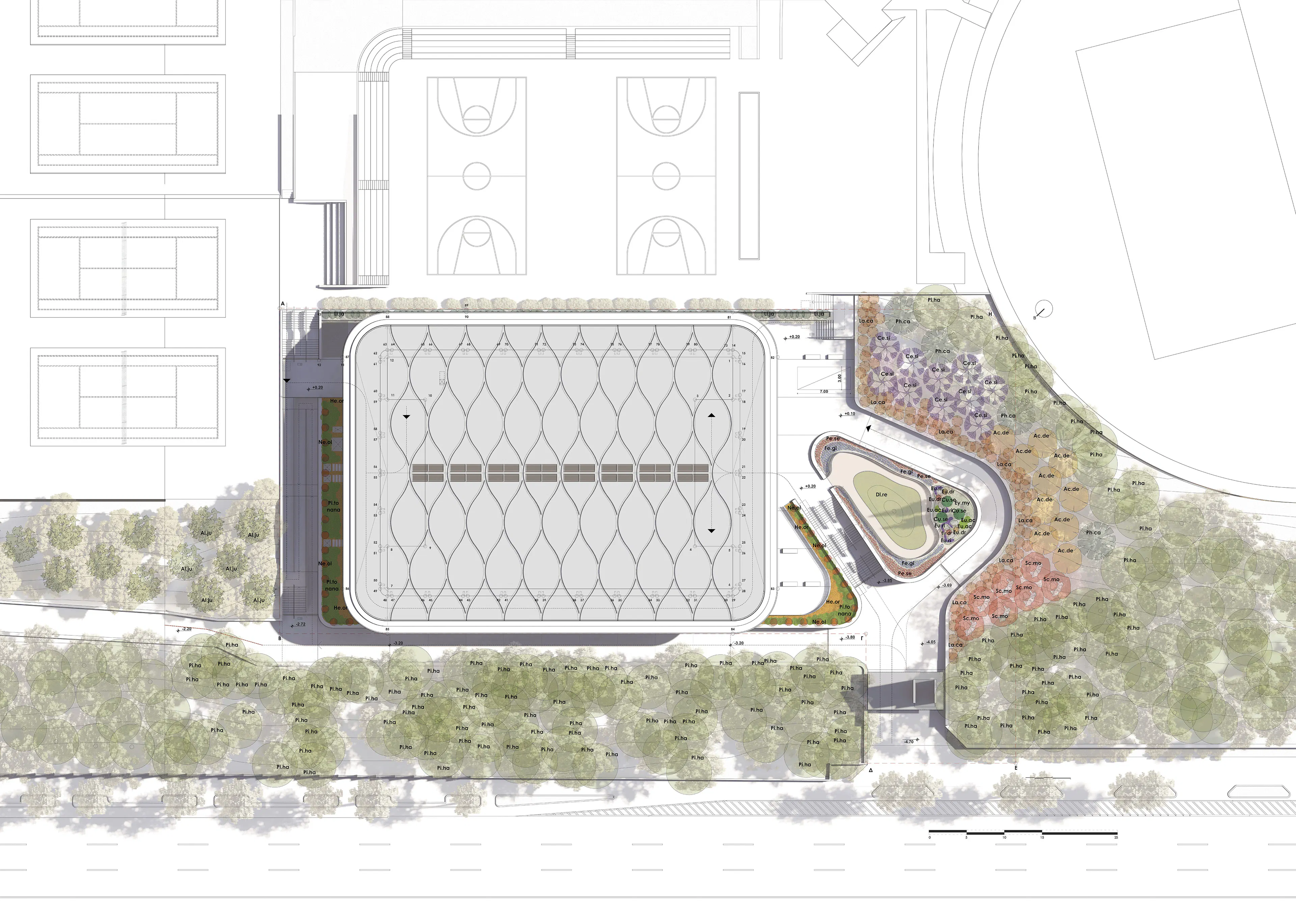 Kyathos I Mass Timber Arena — 11