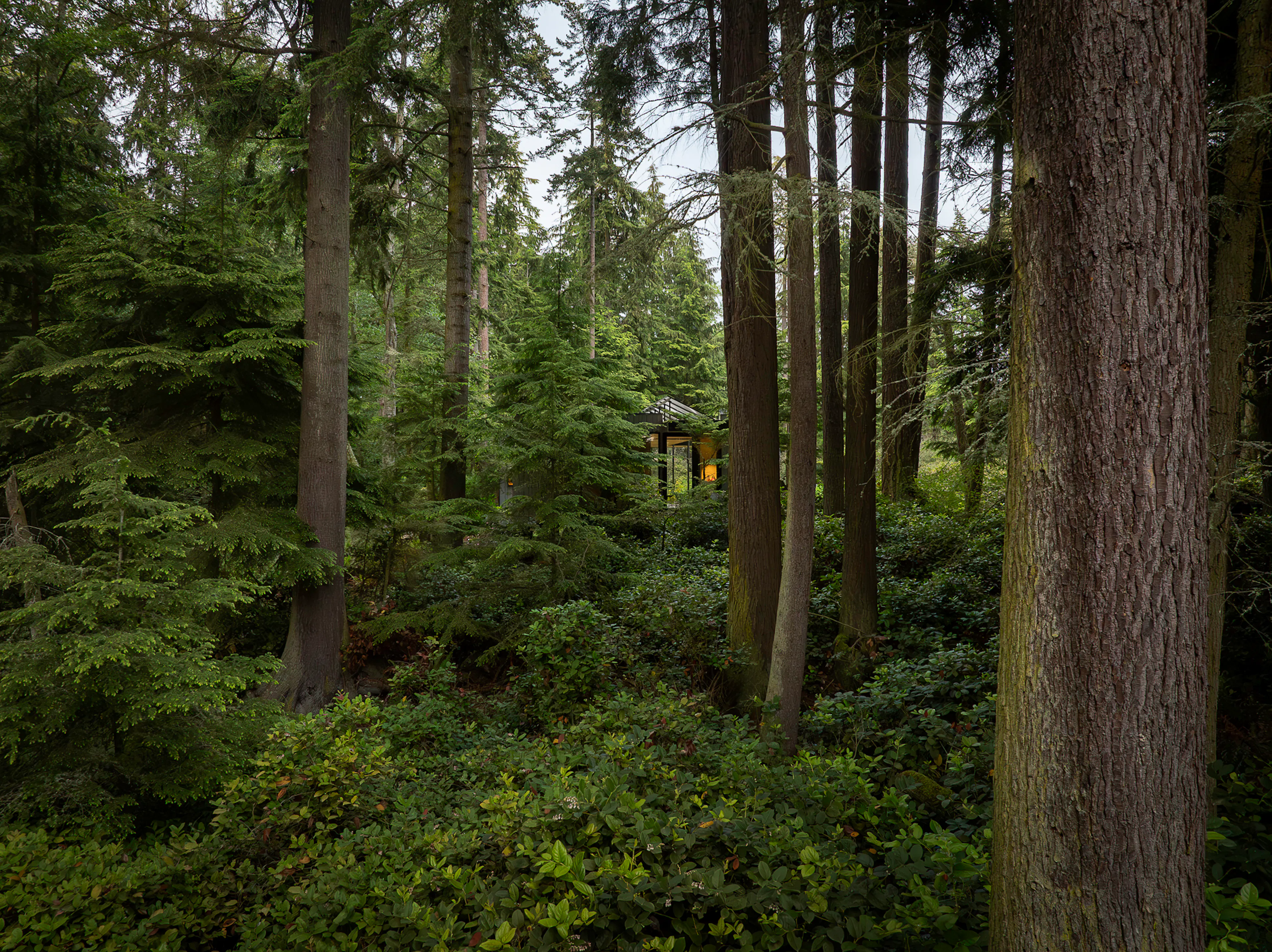 Whidbey Puzzle Prefab — 25
