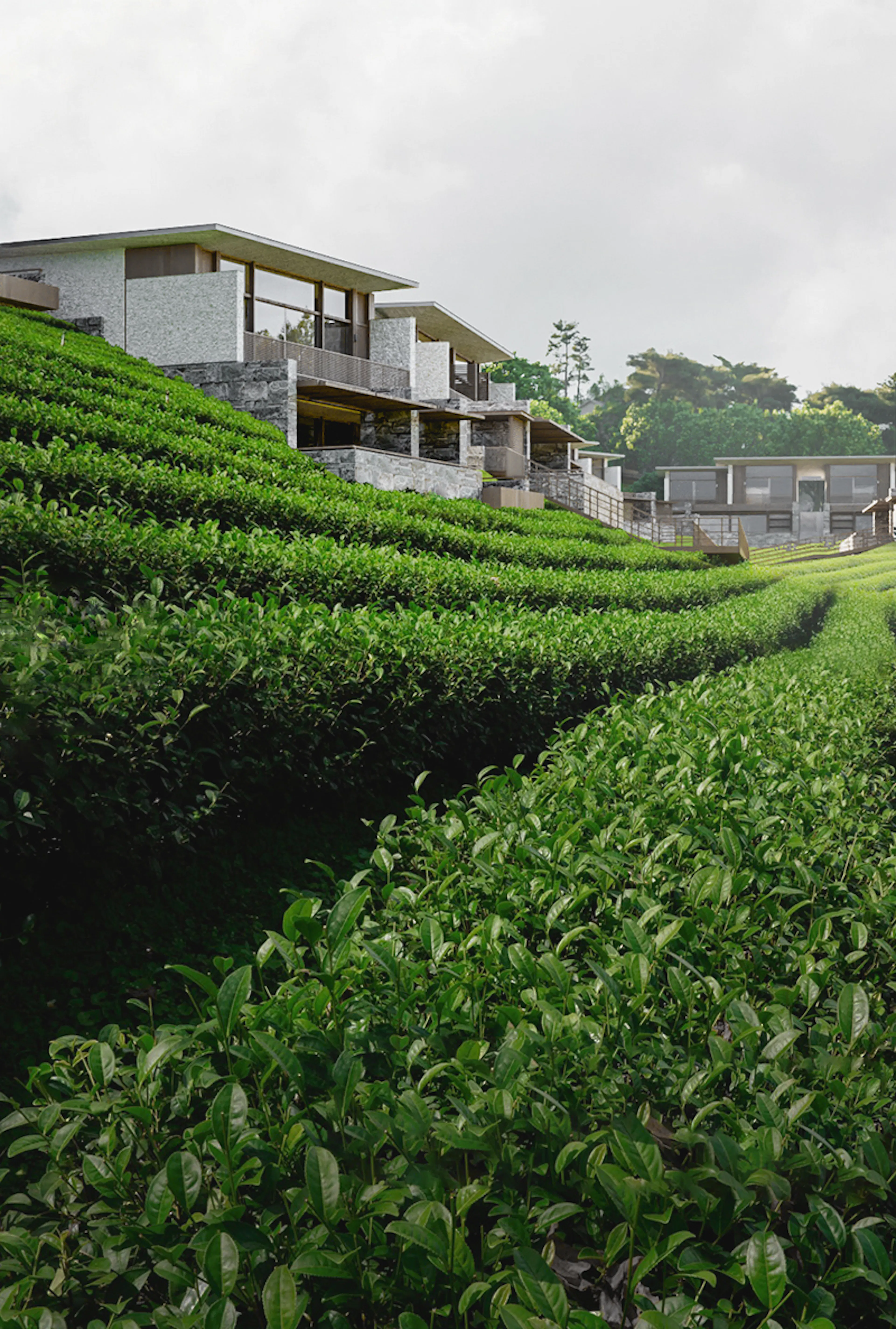 Kimpton Huangshan, line+ explores the spirit of Huizhou through a contemporary spatial narrative — 36