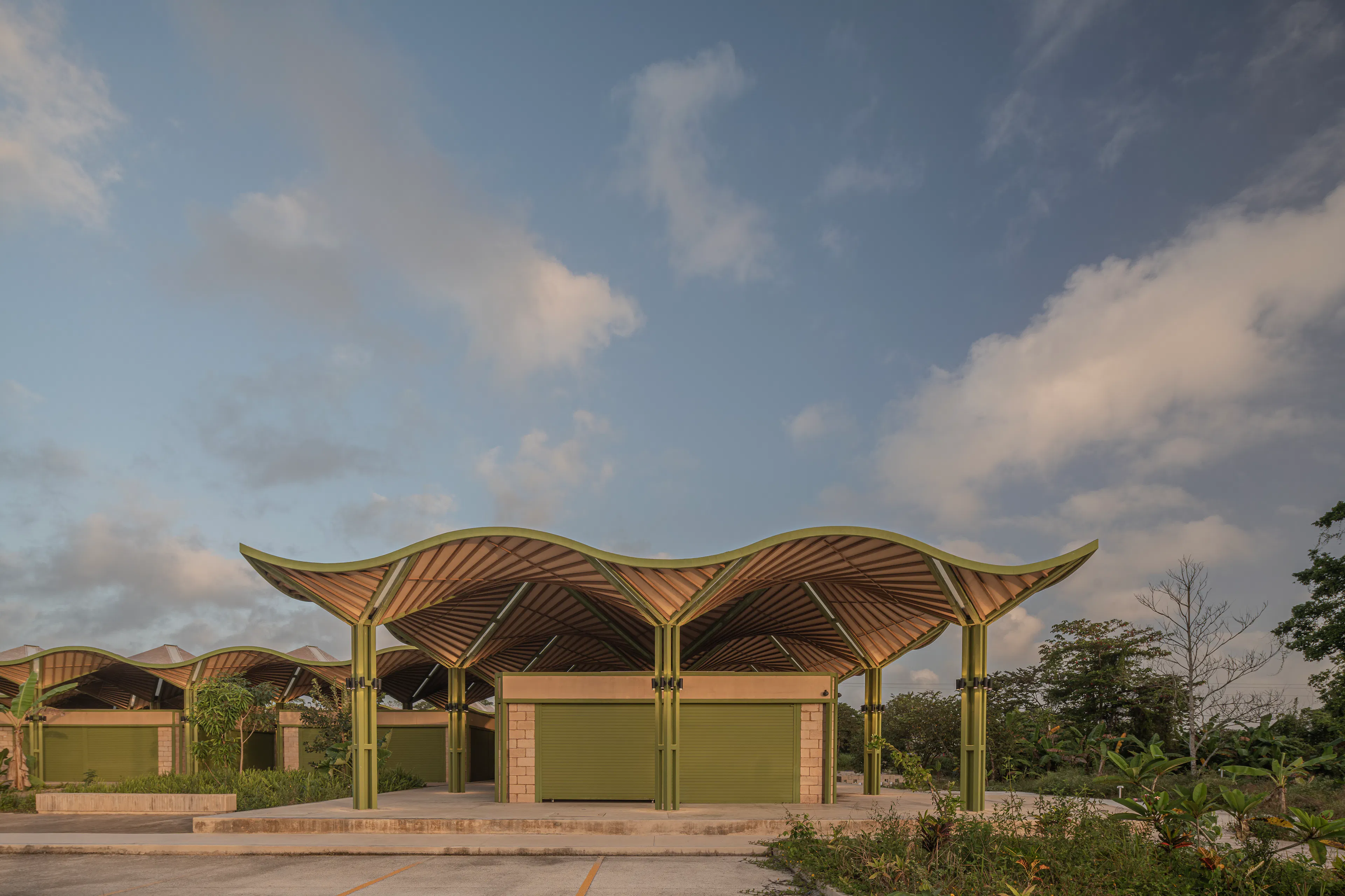 Mercado Nicolas Bravo — 5