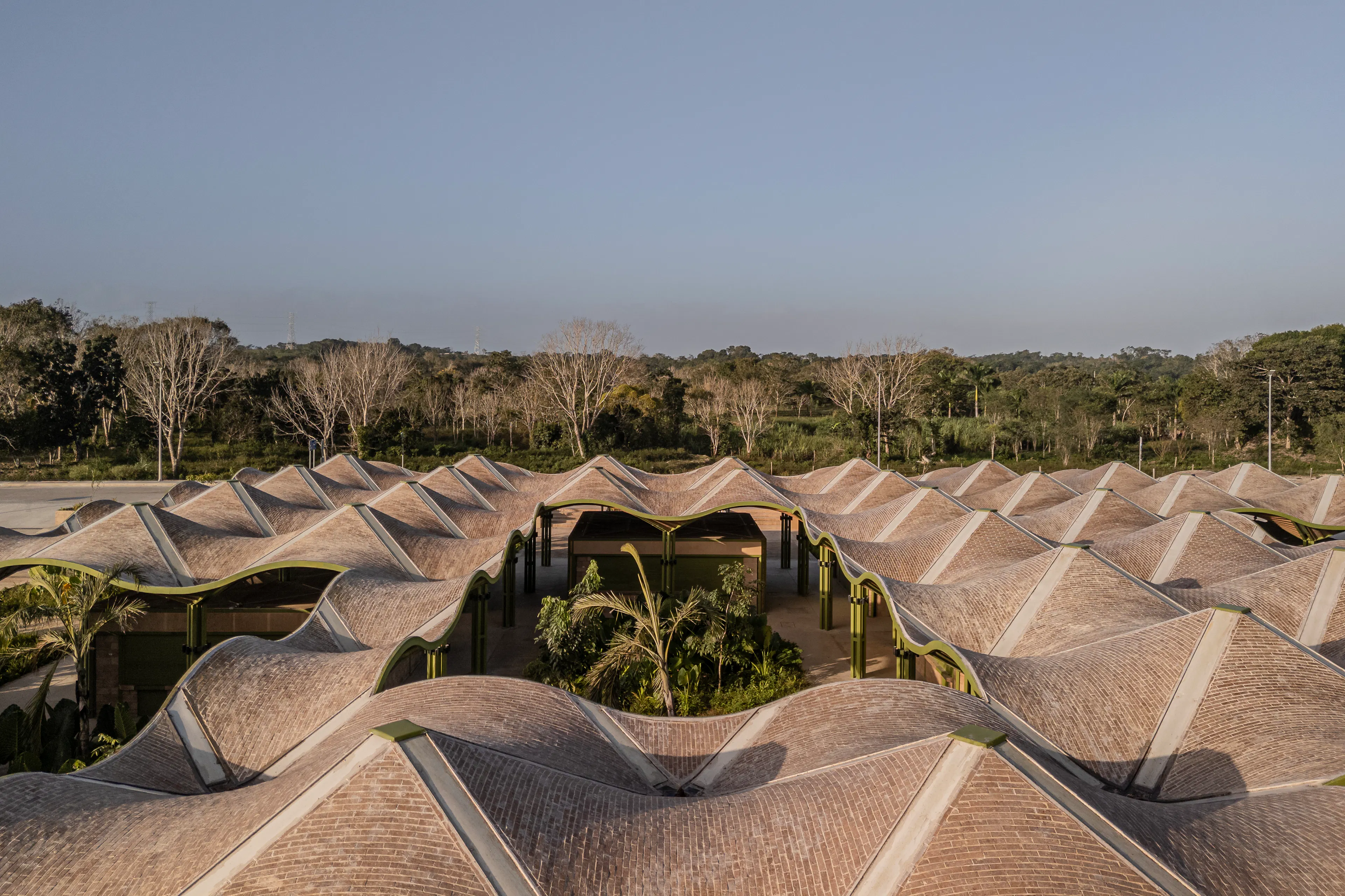 Mercado Nicolas Bravo — 7