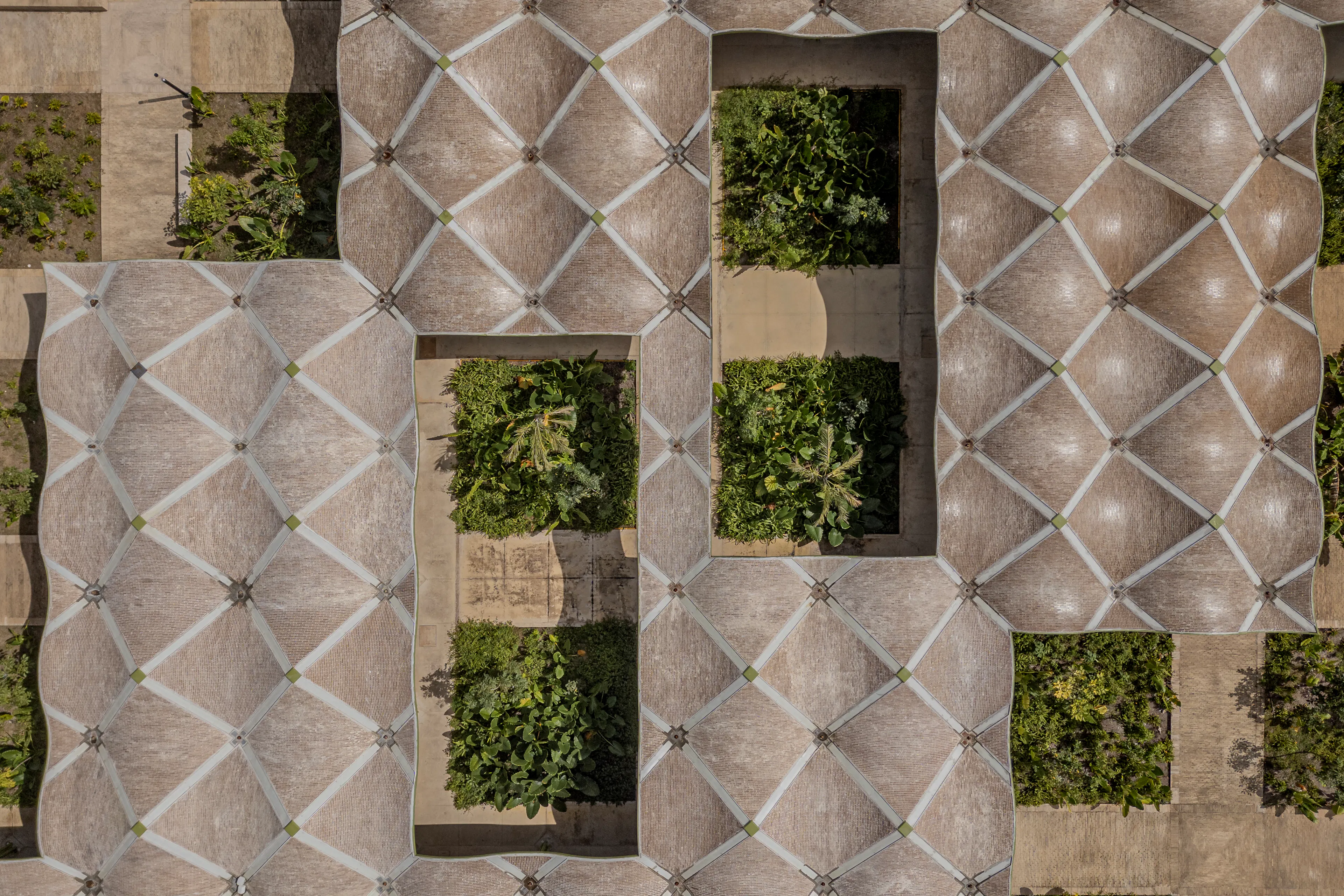 Mercado Nicolas Bravo — 8