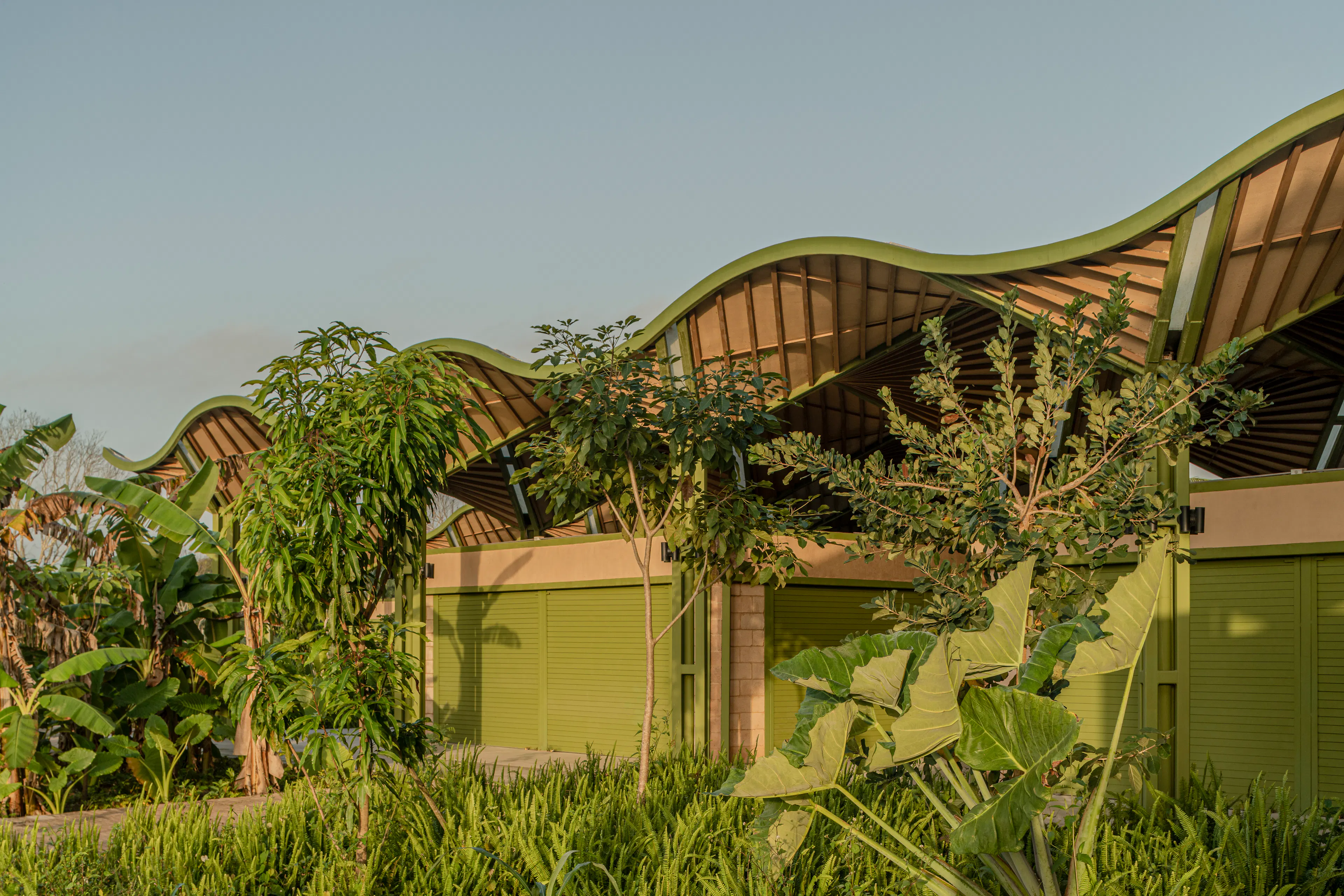 Mercado Nicolas Bravo — 15