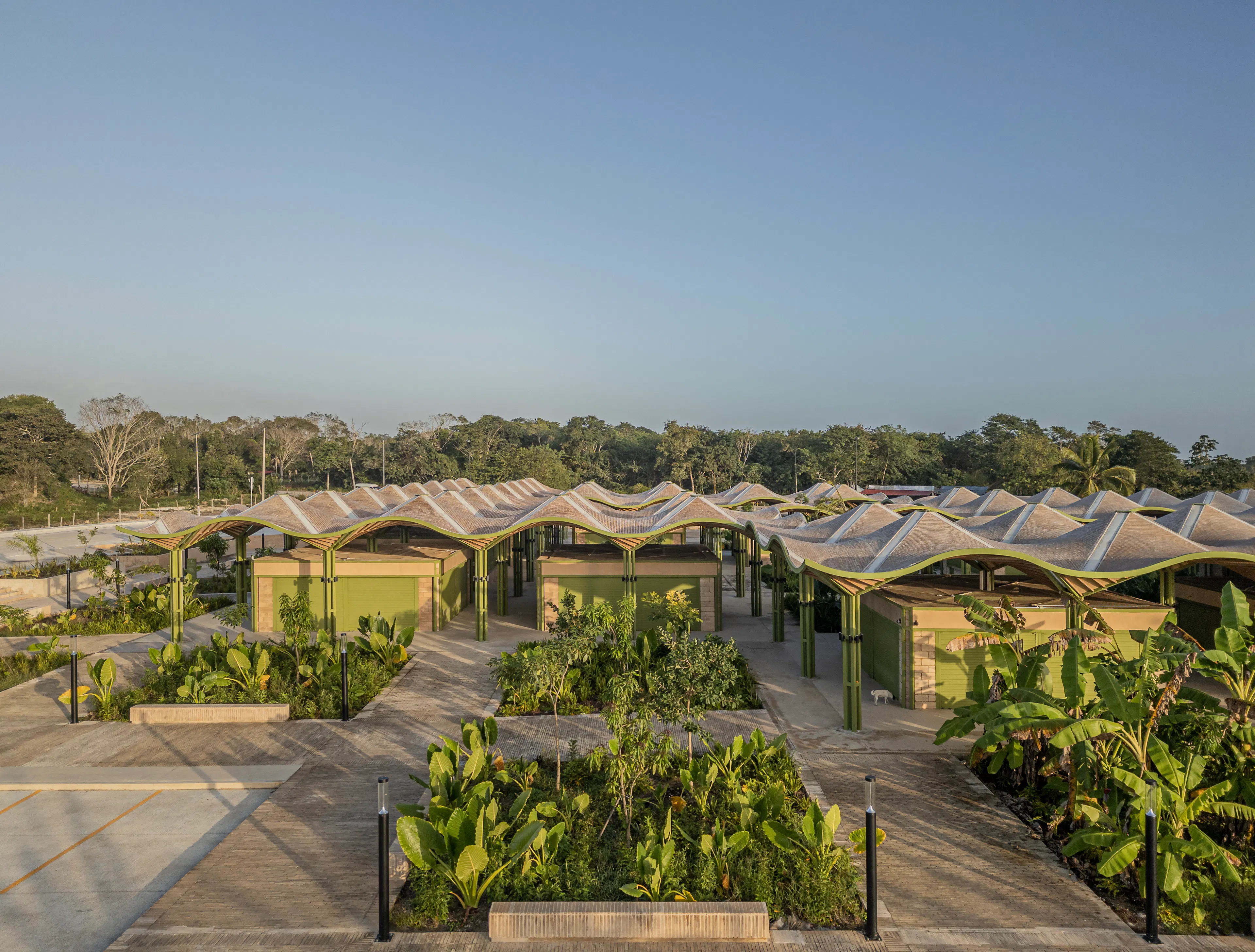 Mercado Nicolas Bravo — 17