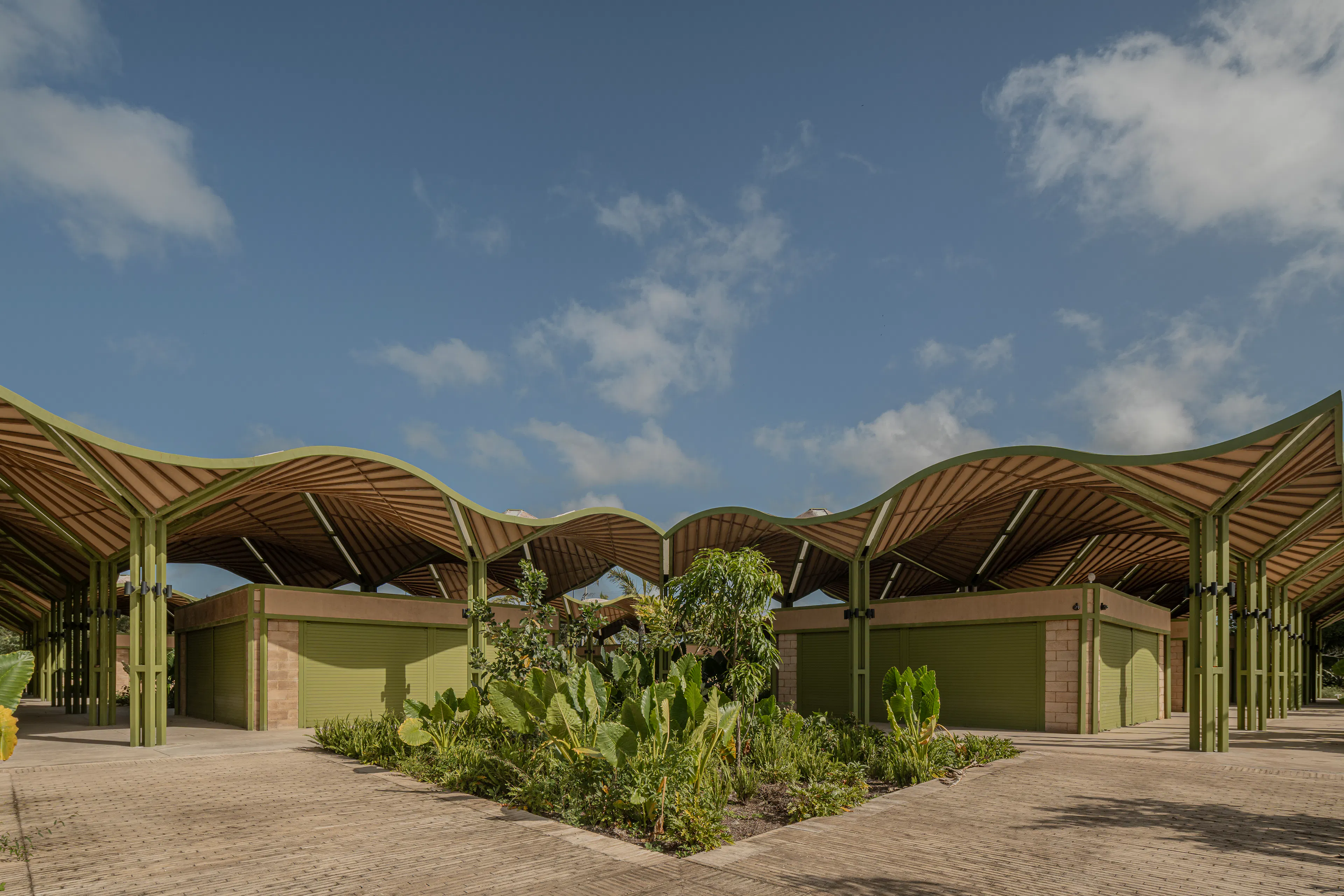 Mercado Nicolas Bravo — 18