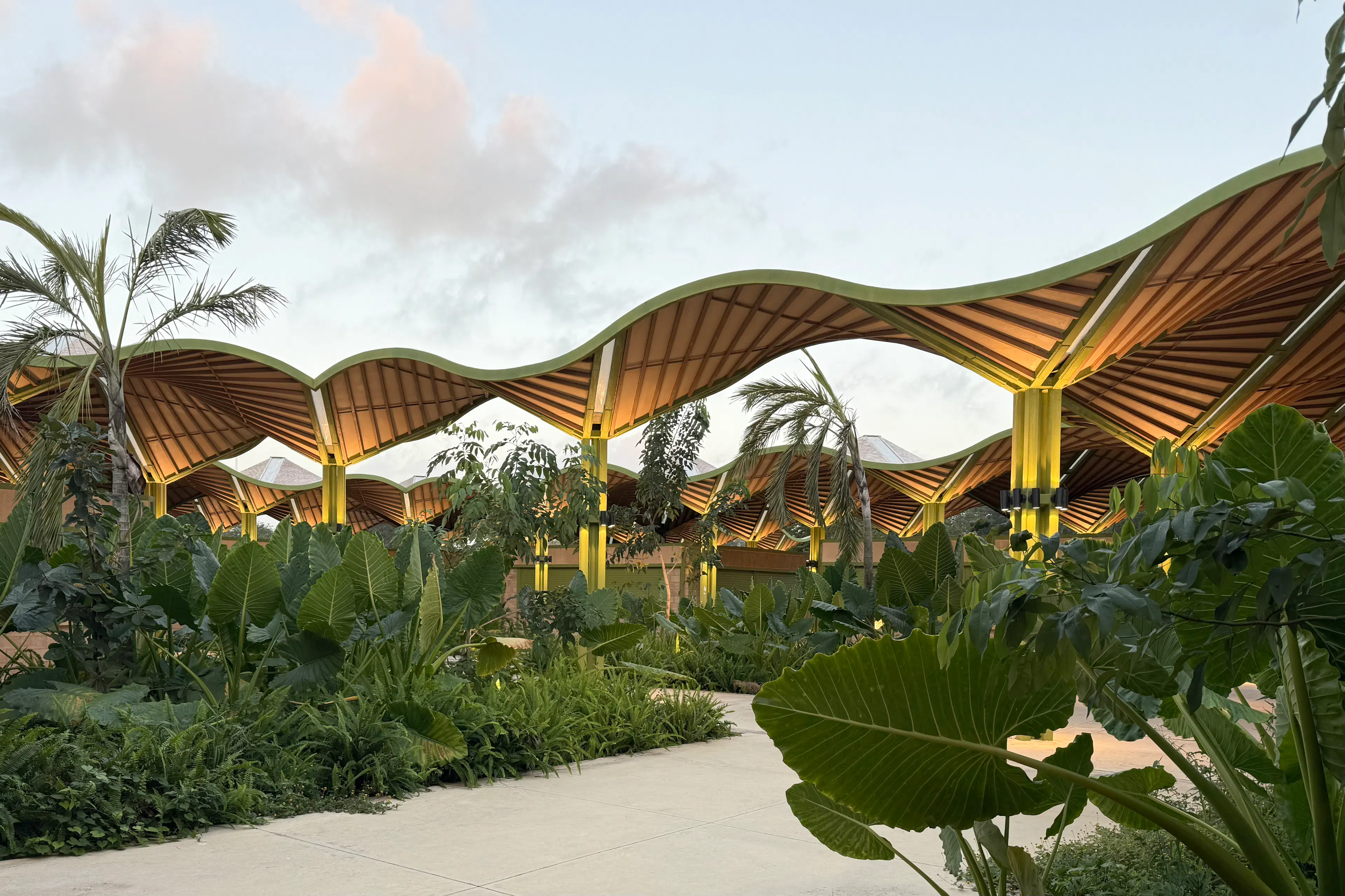 Mercado Nicolas Bravo — 21