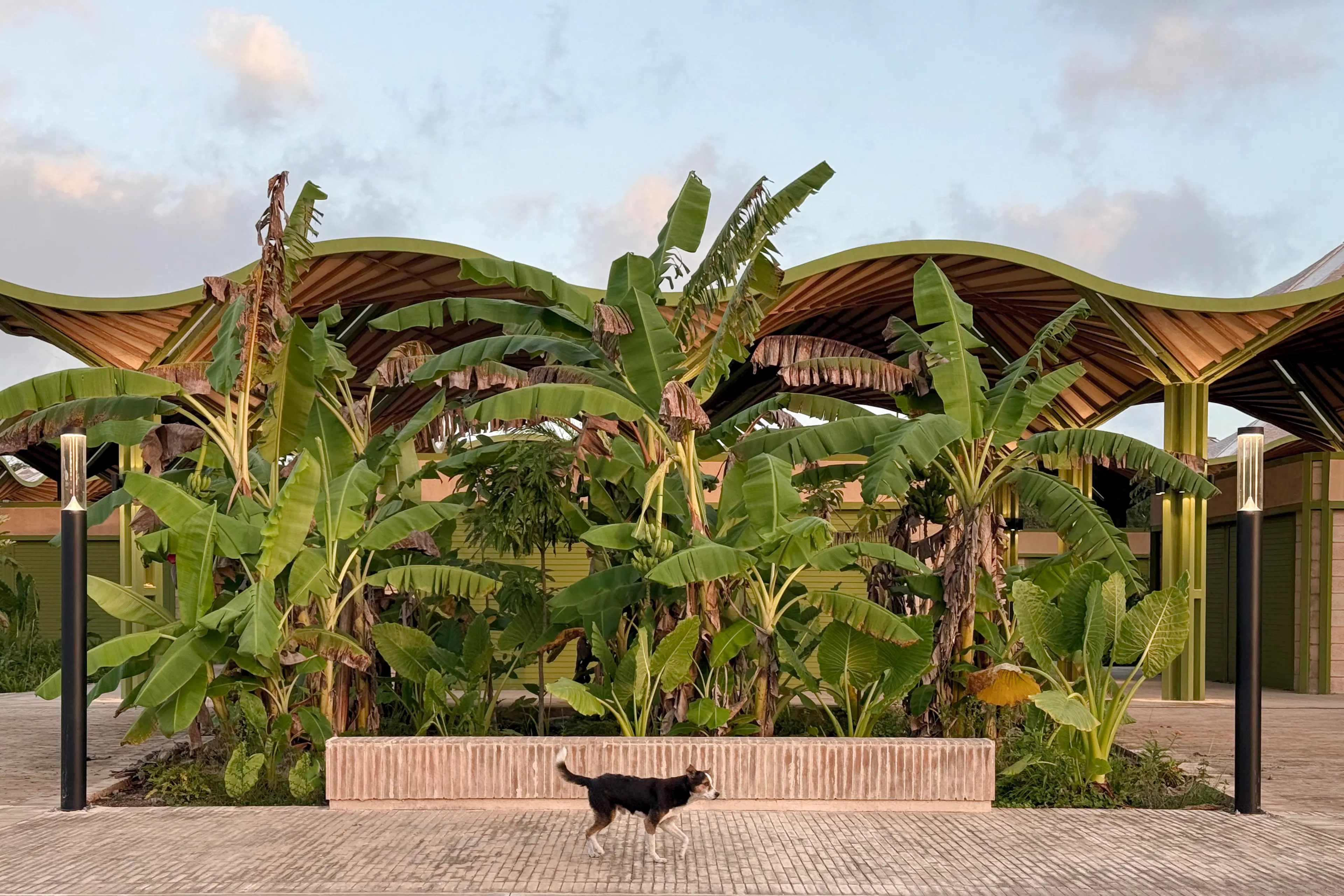 Mercado Nicolas Bravo — 22