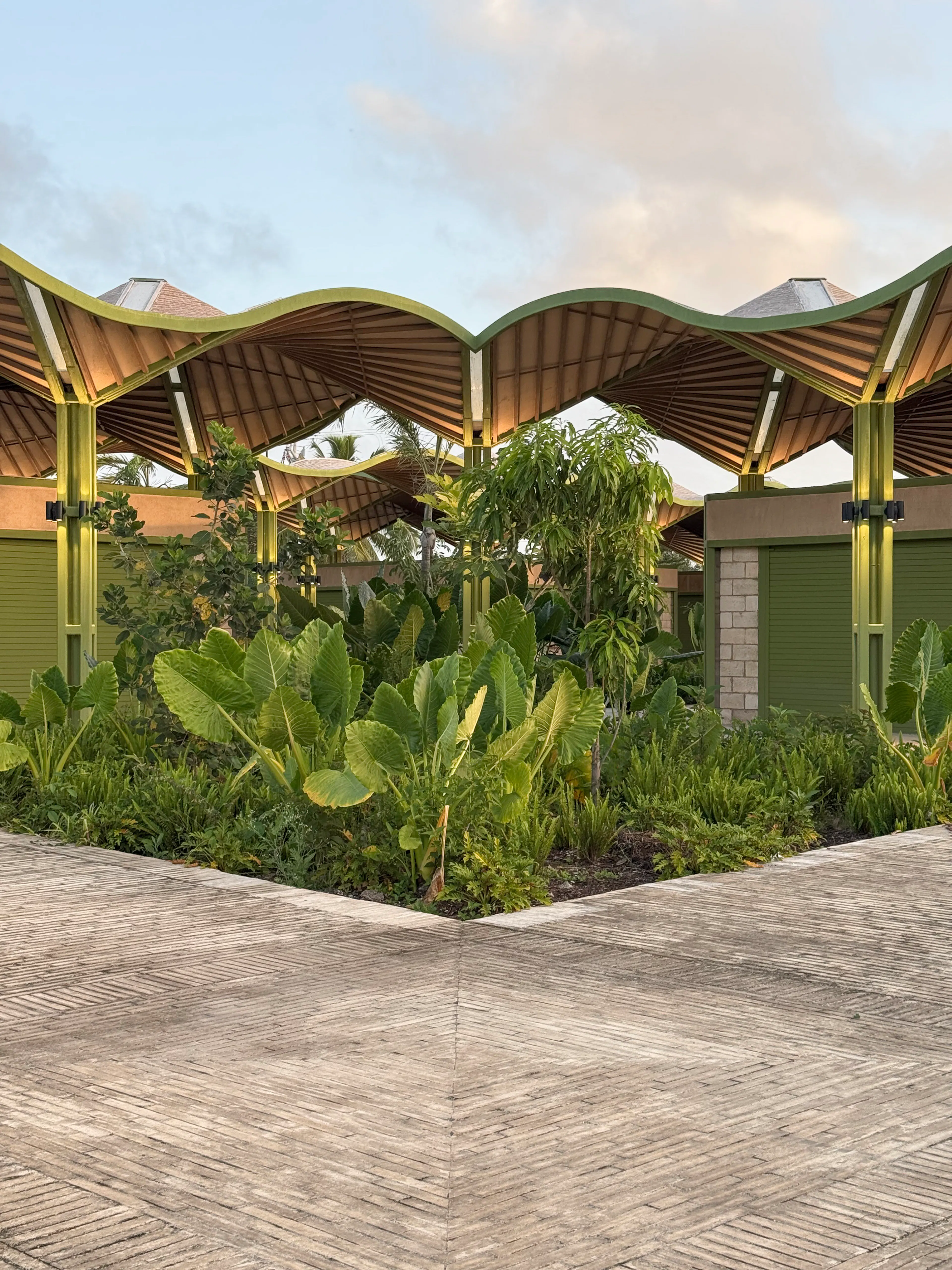 Mercado Nicolas Bravo — 25