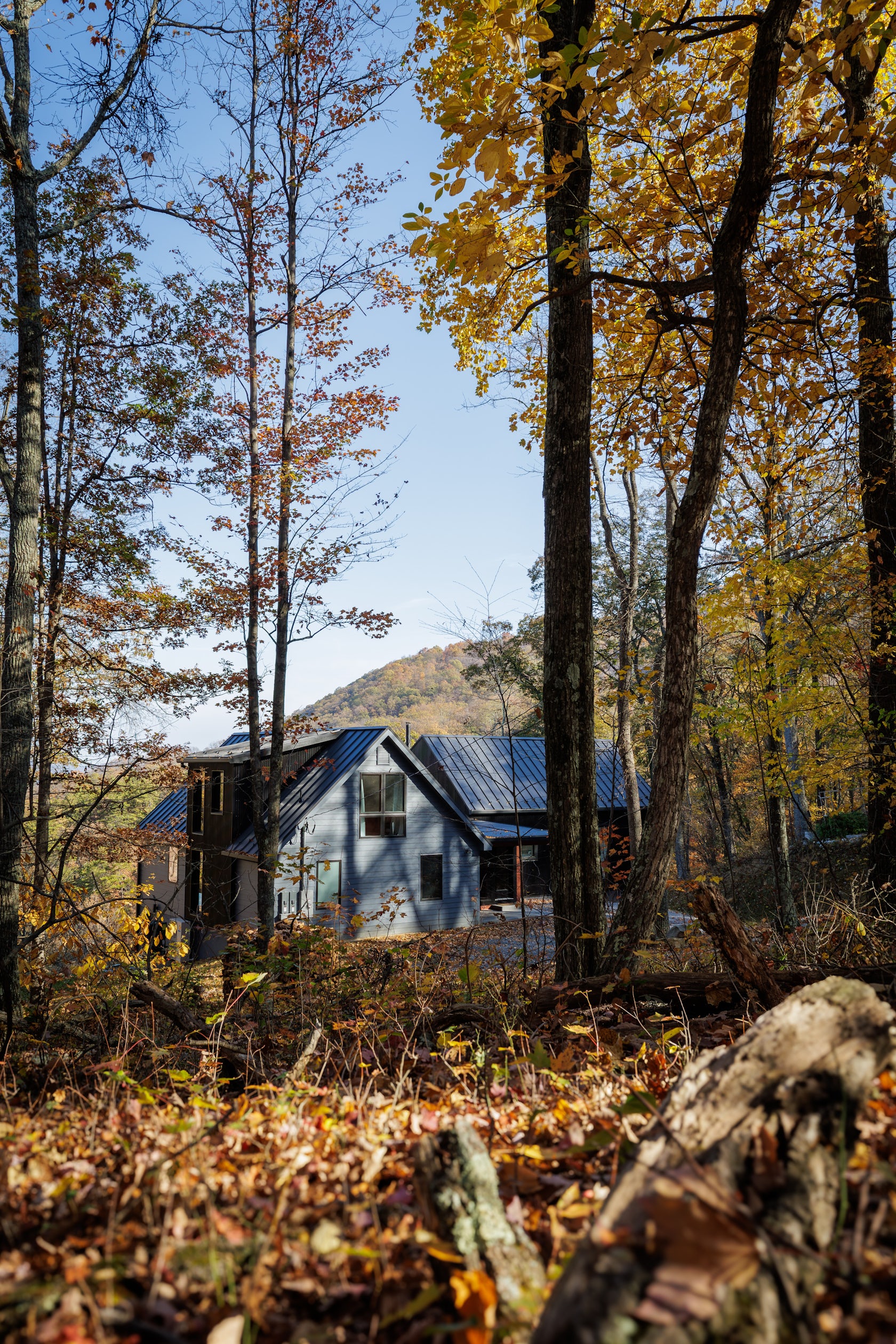Razorback Ridge House by Reader & Swartz Architects, P.C. - Architizer